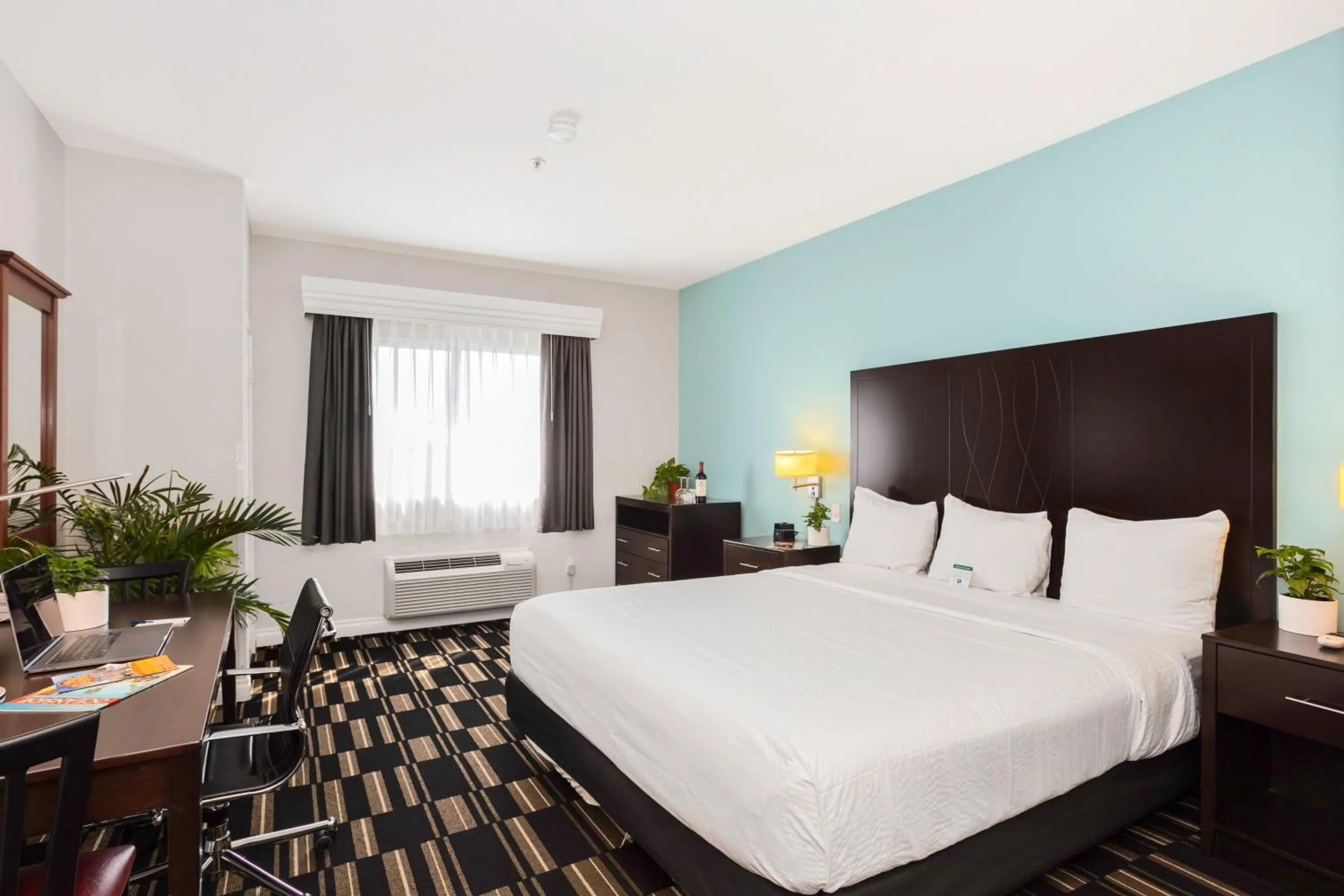 King Room - Disability Access in The Hotel Oceanside