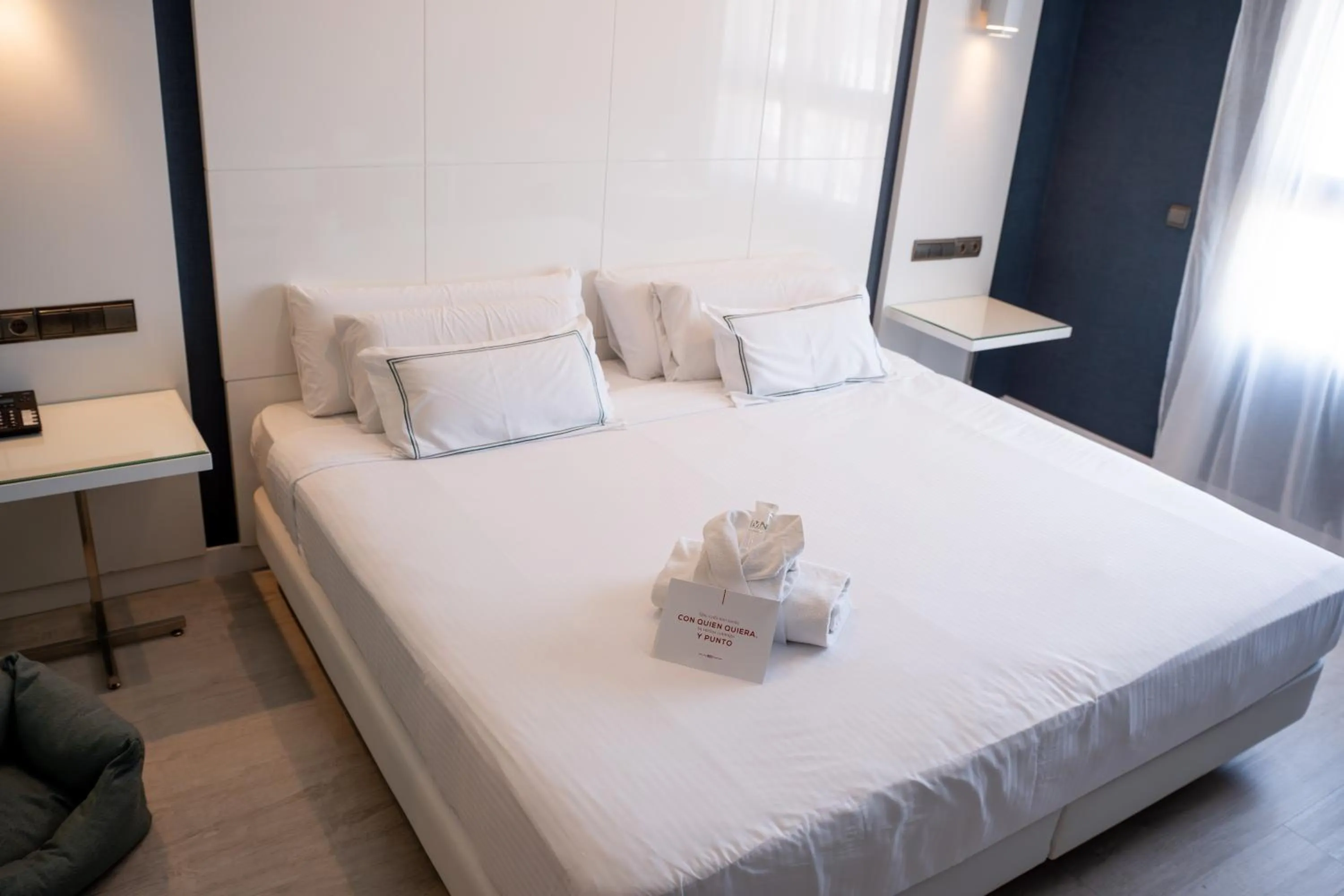 Premium Room in Hotel Málaga Nostrum Airport