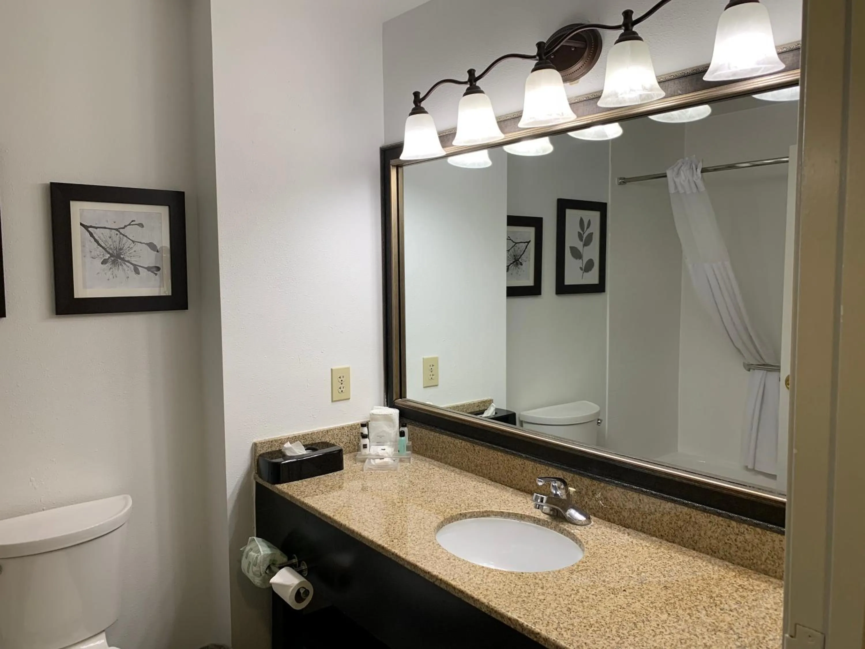 King Studio Suite - Non-Smoking in Country Inn & Suites by Radisson, Georgetown, KY