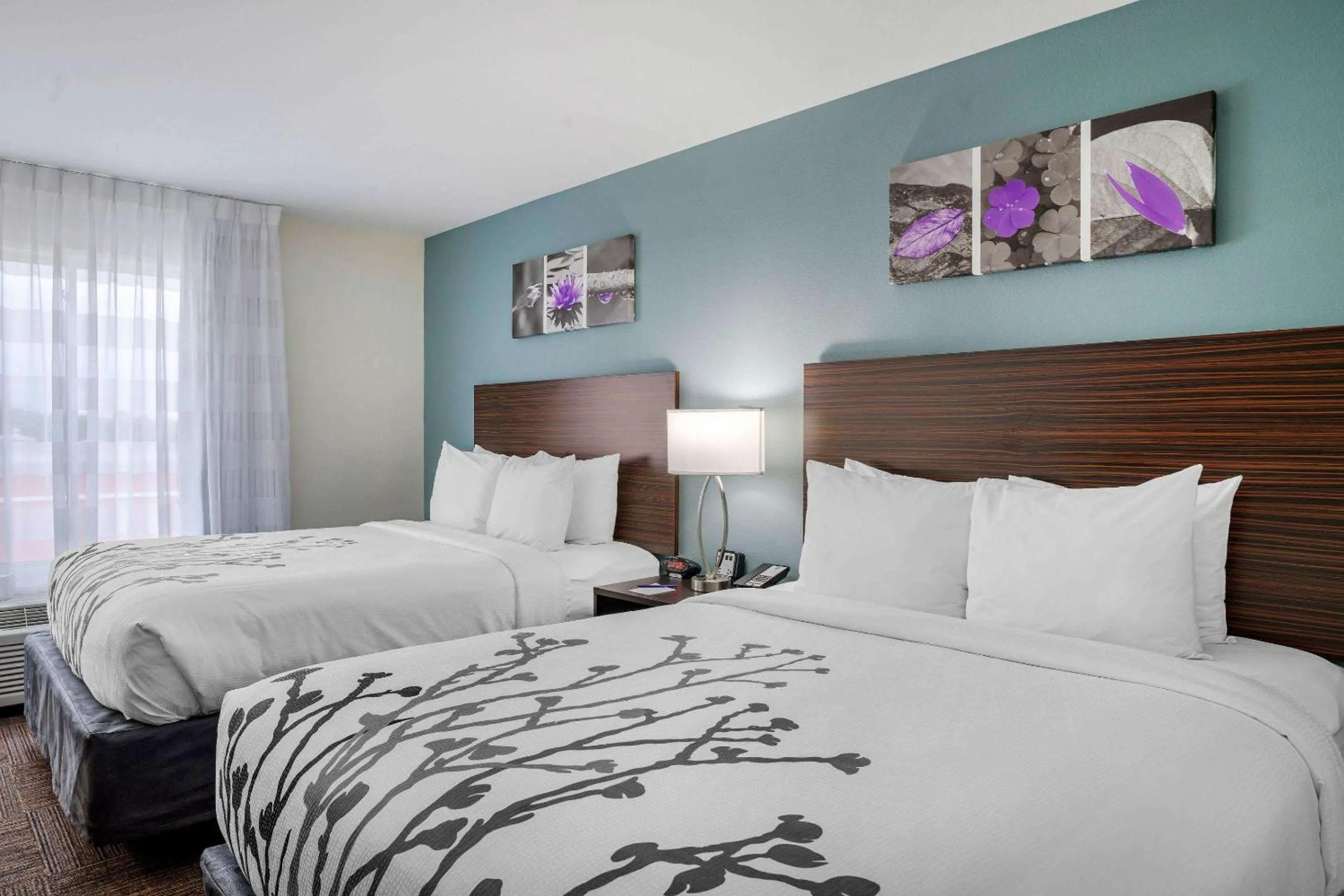 Queen Room with Two Queen Beds - Non-Smoking in Sleep Inn & Suites near Westchase