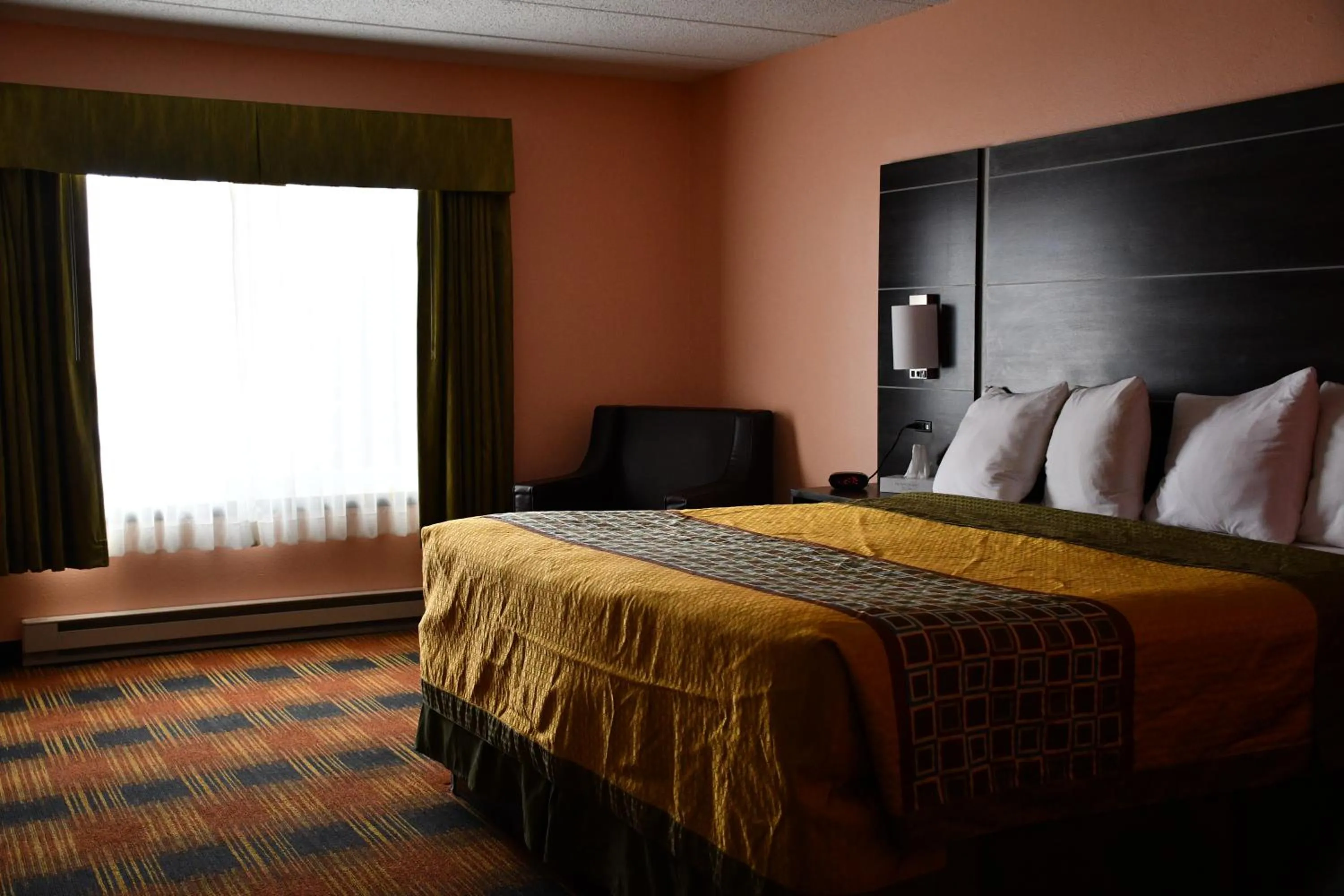 King Room - Non-Smoking in Regency Inn & Suites Faribault