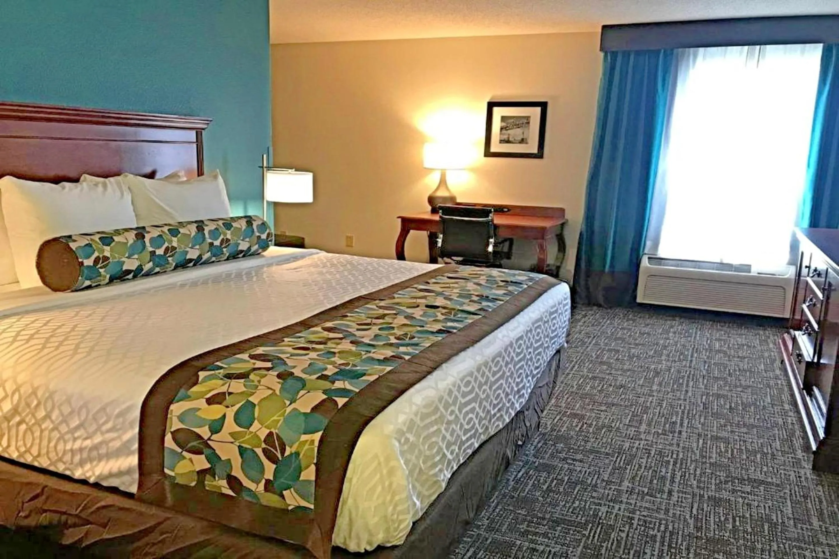 King Room with Roll-In Shower - Disability Access/Non Smoking in Rodeway Inn & Suites