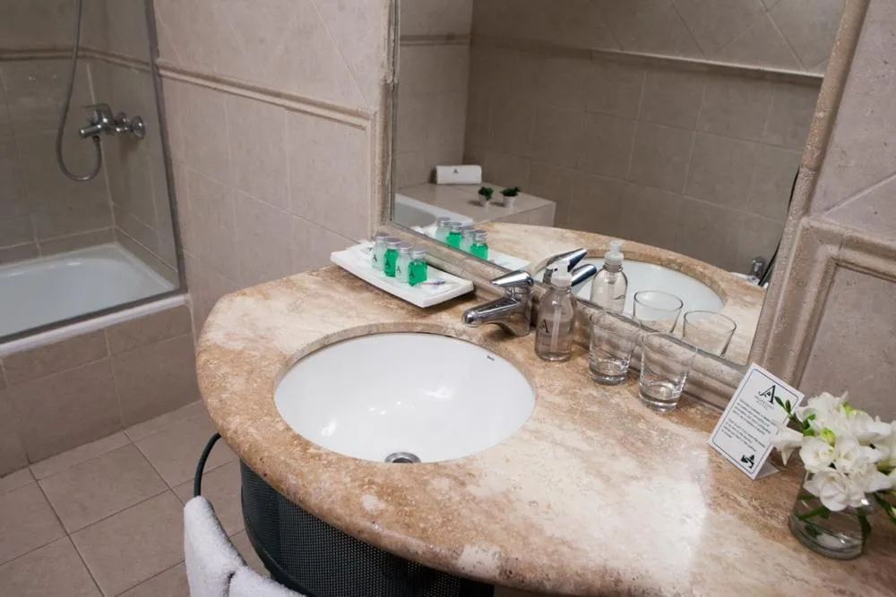 Executive Double or Twin Room in Argentino Hotel