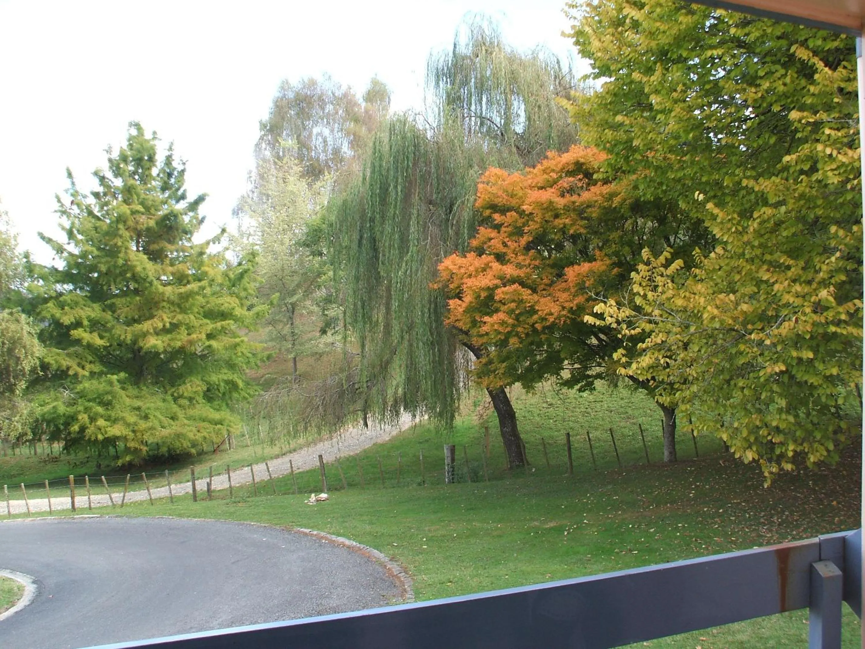 Double or Twin Room in Caves Motor Inn