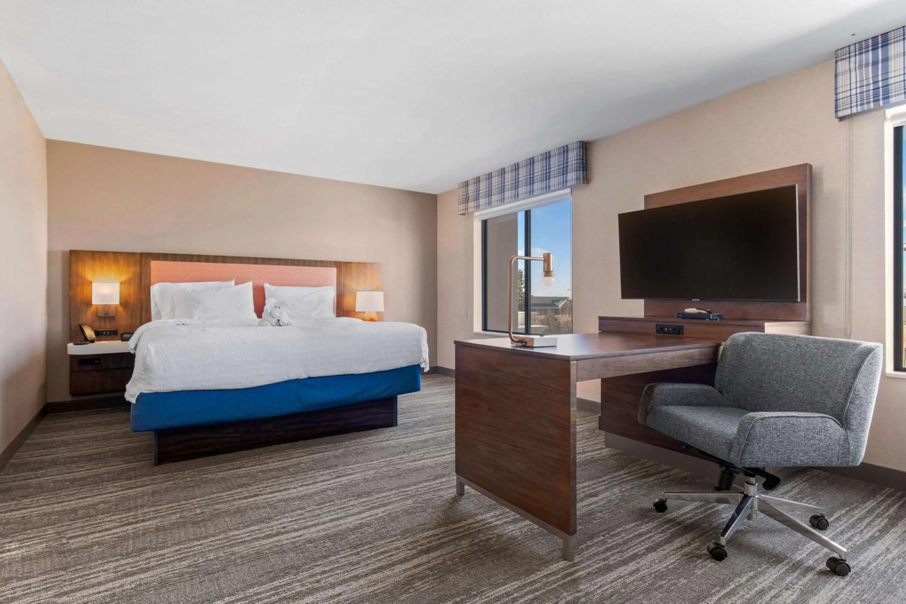 King Studio Suite - Non-Smoking in Hampton Inn & Suites Greeley