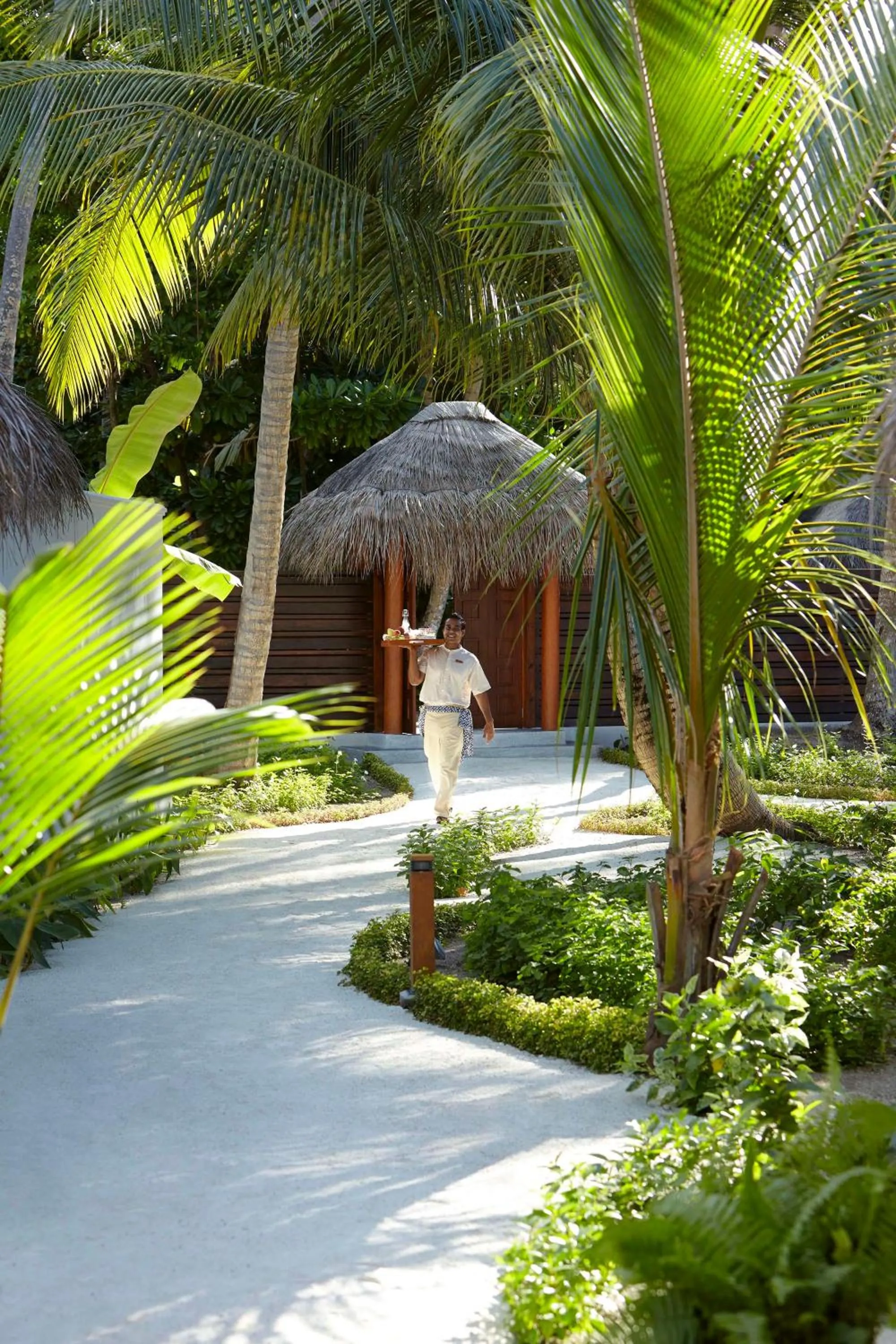 Beach Villa, 122sqm, Beachfront Access, Butler Service - single occupancy in Dusit Thani Maldives - 50 percent discount on transfers for stays until 20 Dec 2025