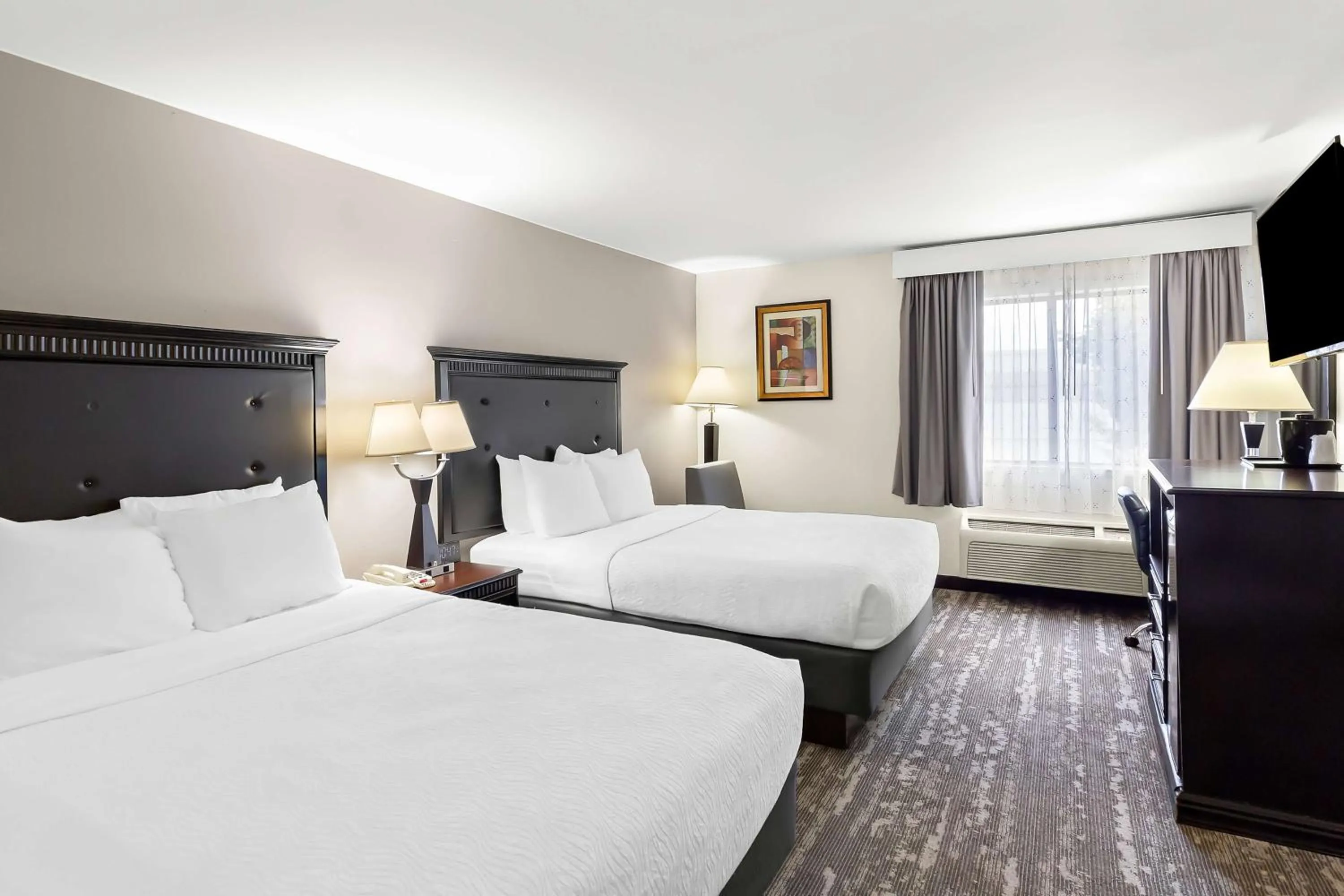 Queen Room with Three Queen Beds and Sofa Bed - Pet Friendly/Non-Smoking in Best Western Saluki Inn