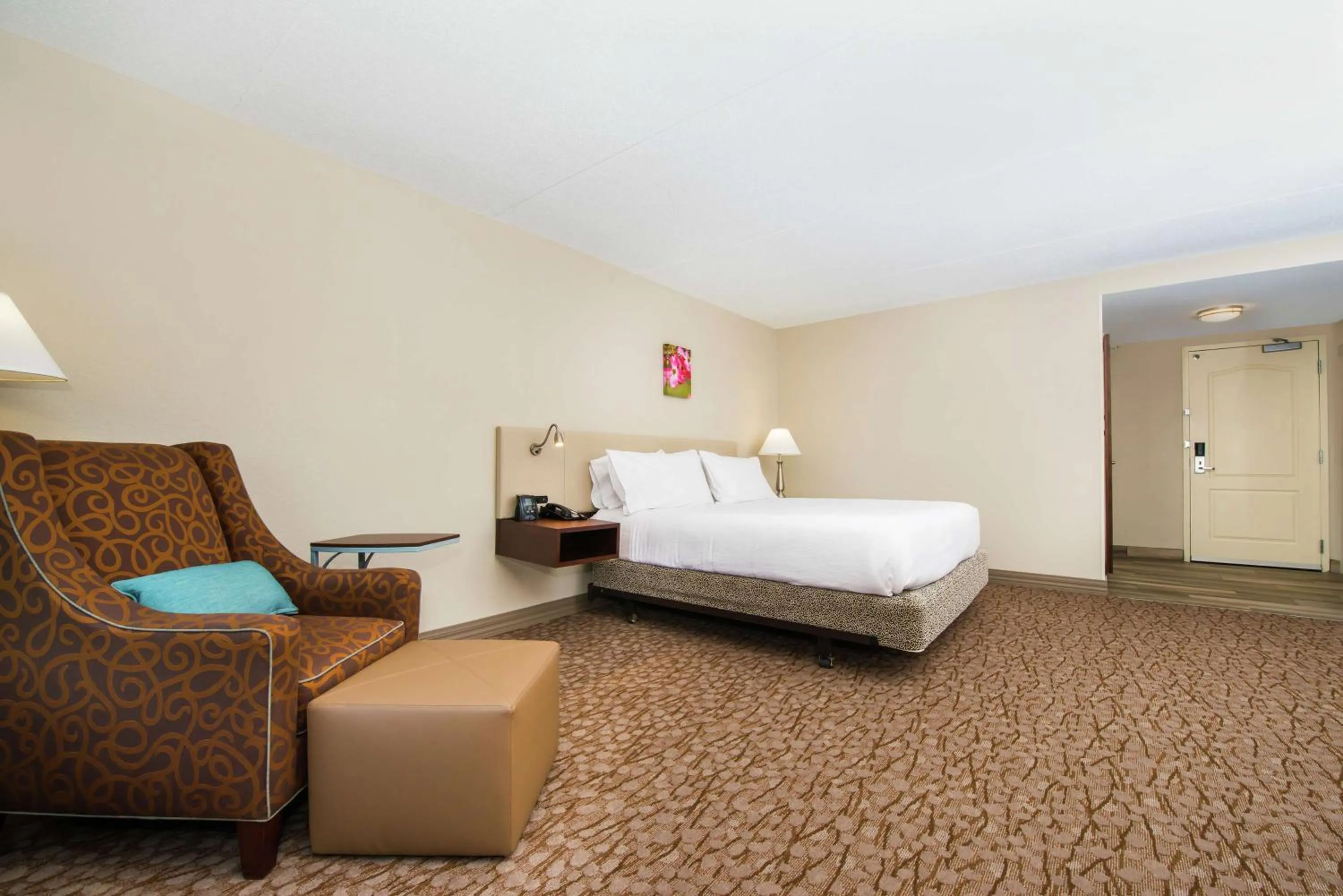 King Room with Tub - Mobility and Hearing Access in Hilton Garden Inn Charlottesville