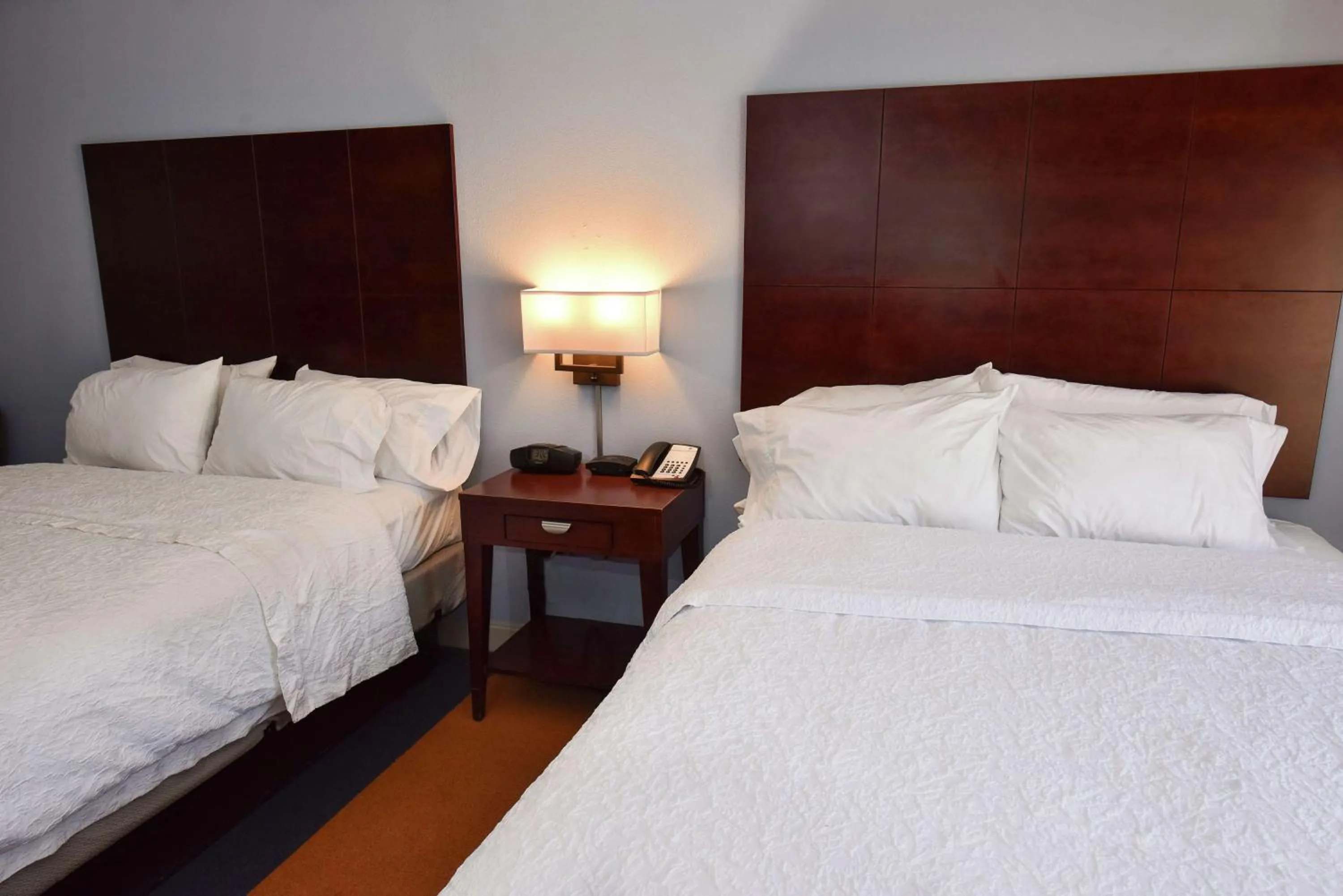 Queen Room with Two Queen Beds and Roll-In Shower - Mobility Access/Non-Smoking in Hampton Inn Alexander City