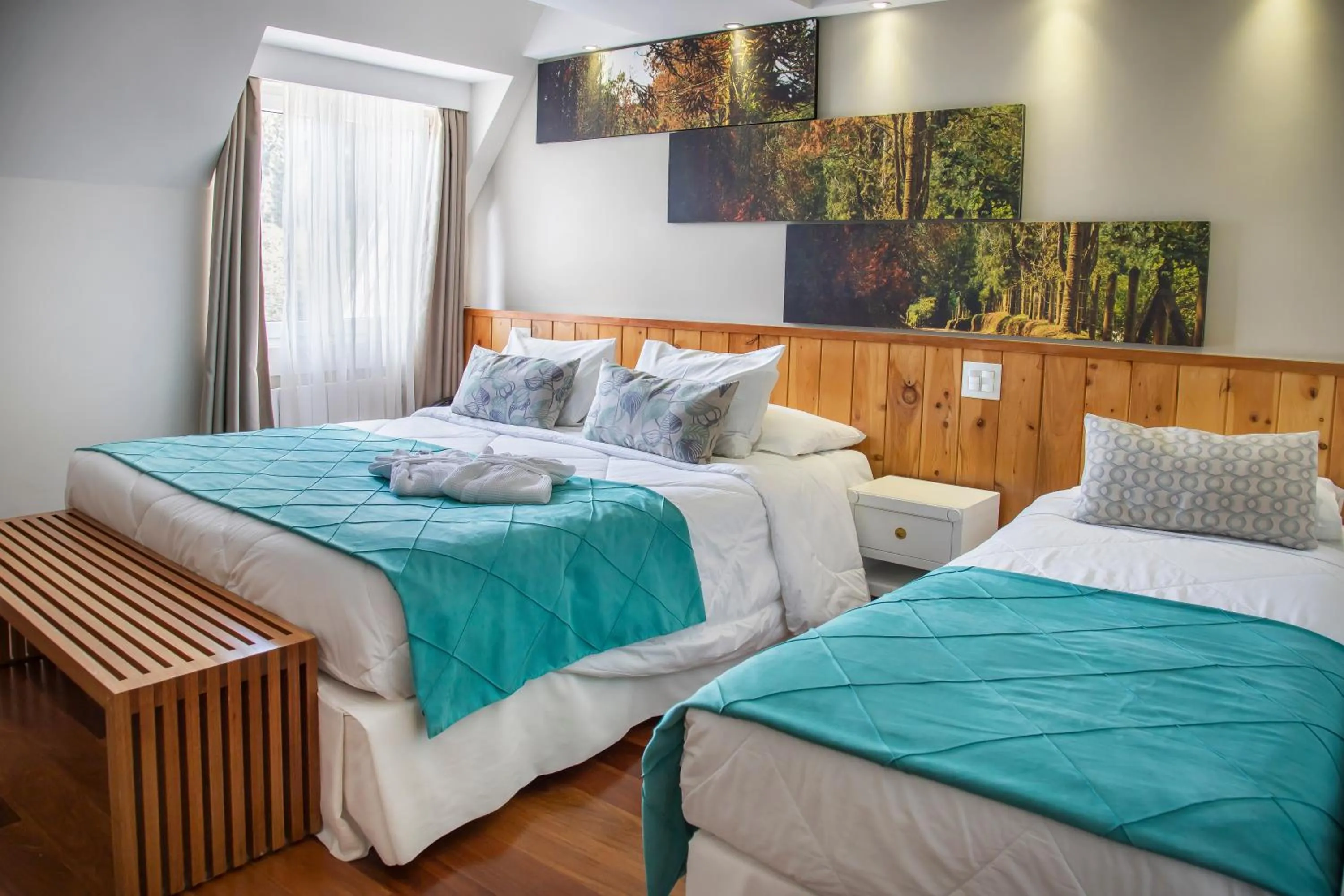 Deluxe Double Room in Hotel Serra da Estrela