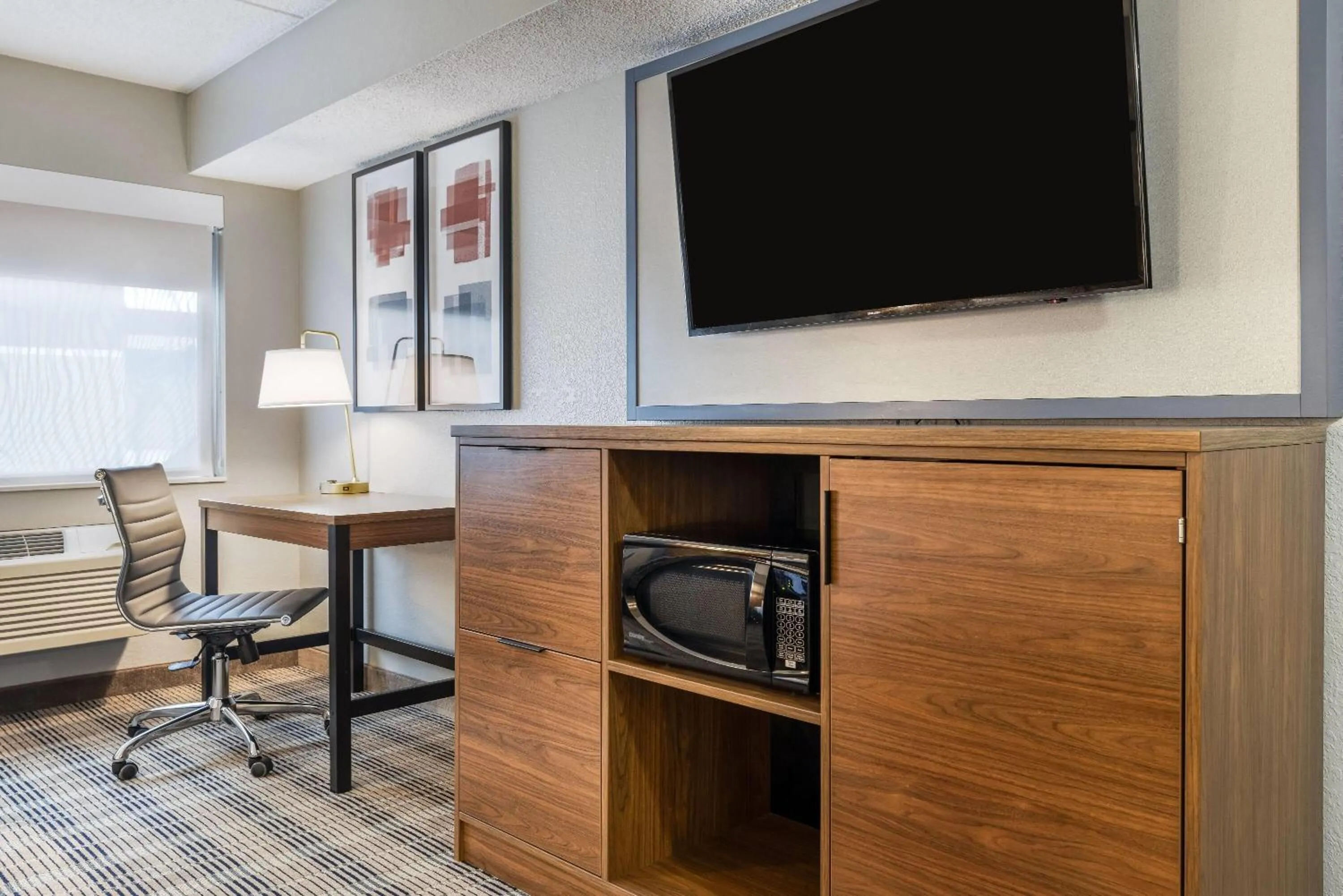 1 King Bed Studio Suite, Non-Smoking  in AmericInn by Wyndham Mounds View Minneapolis