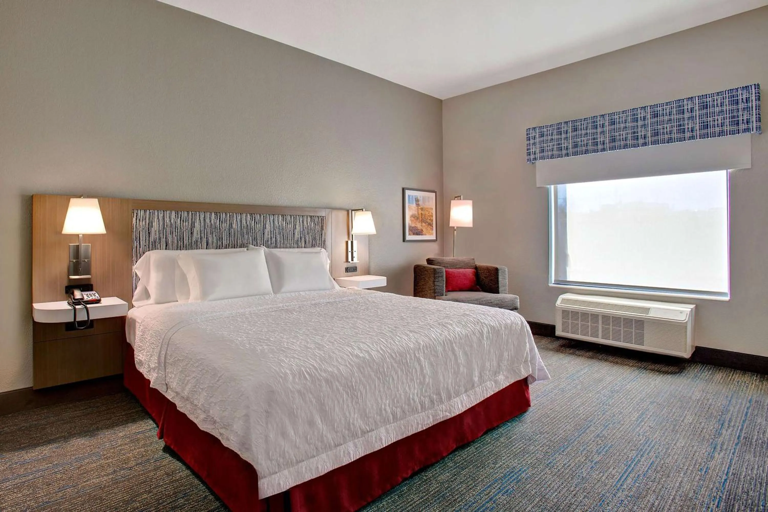 King Room with Roll-In Shower - Mobility and Hearing Access/Non-Smoking in Hampton Inn & Suites Borger
