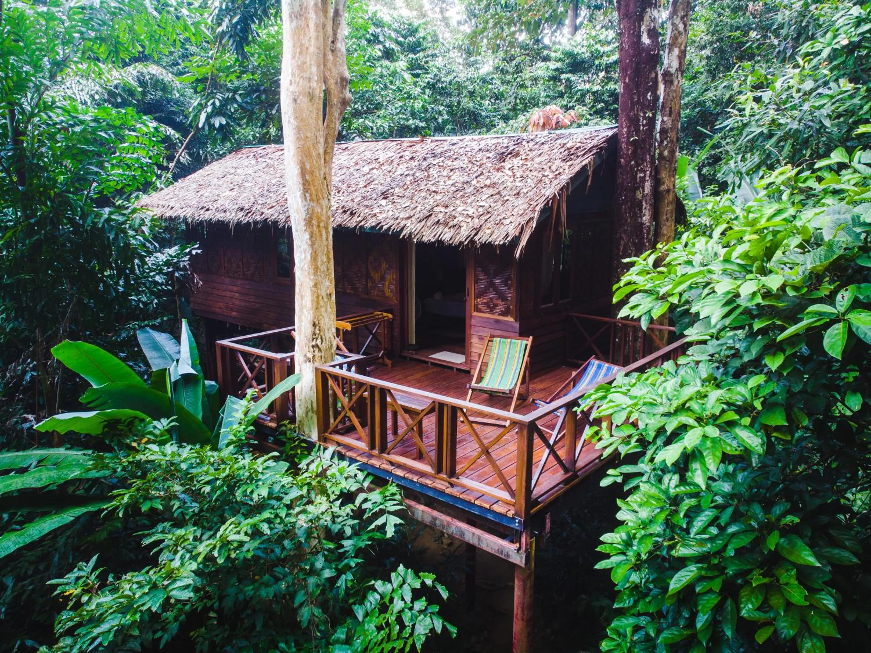 Treehouse Family in Our Jungle House