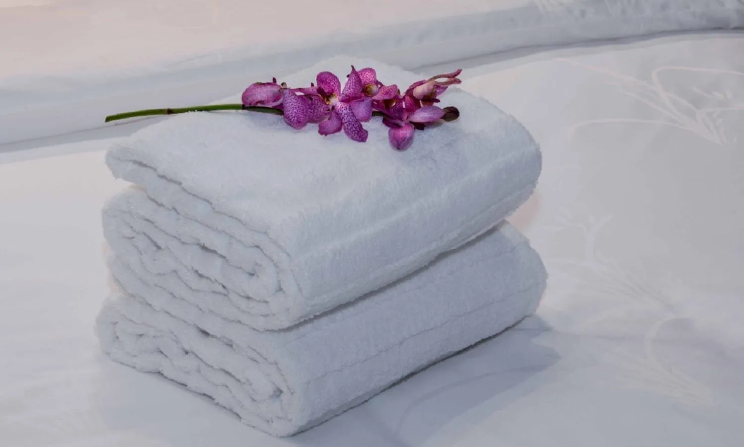 Suite in Braira Al Dammam