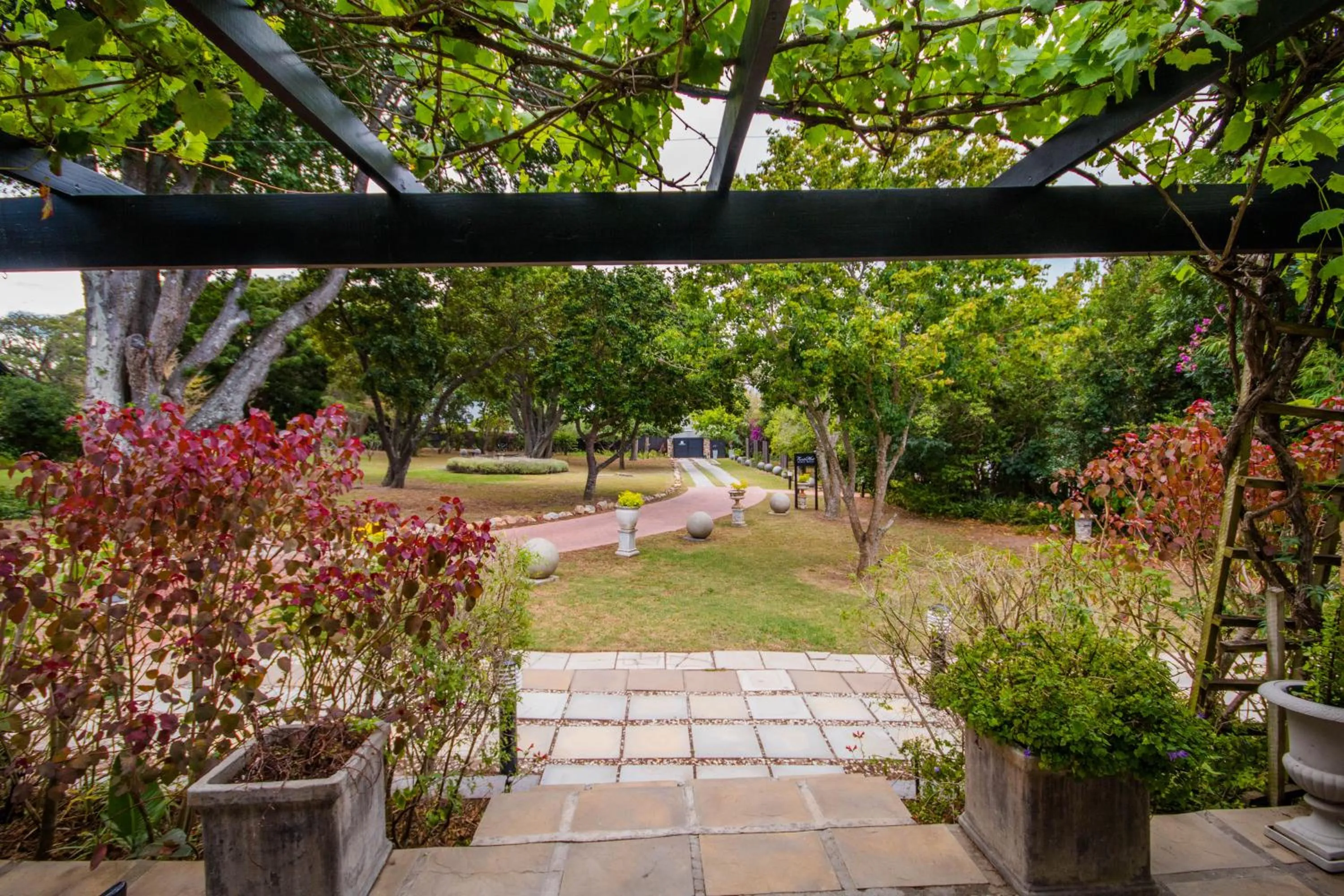 King Room with Garden View - single occupancy in Forest Hall Guest House