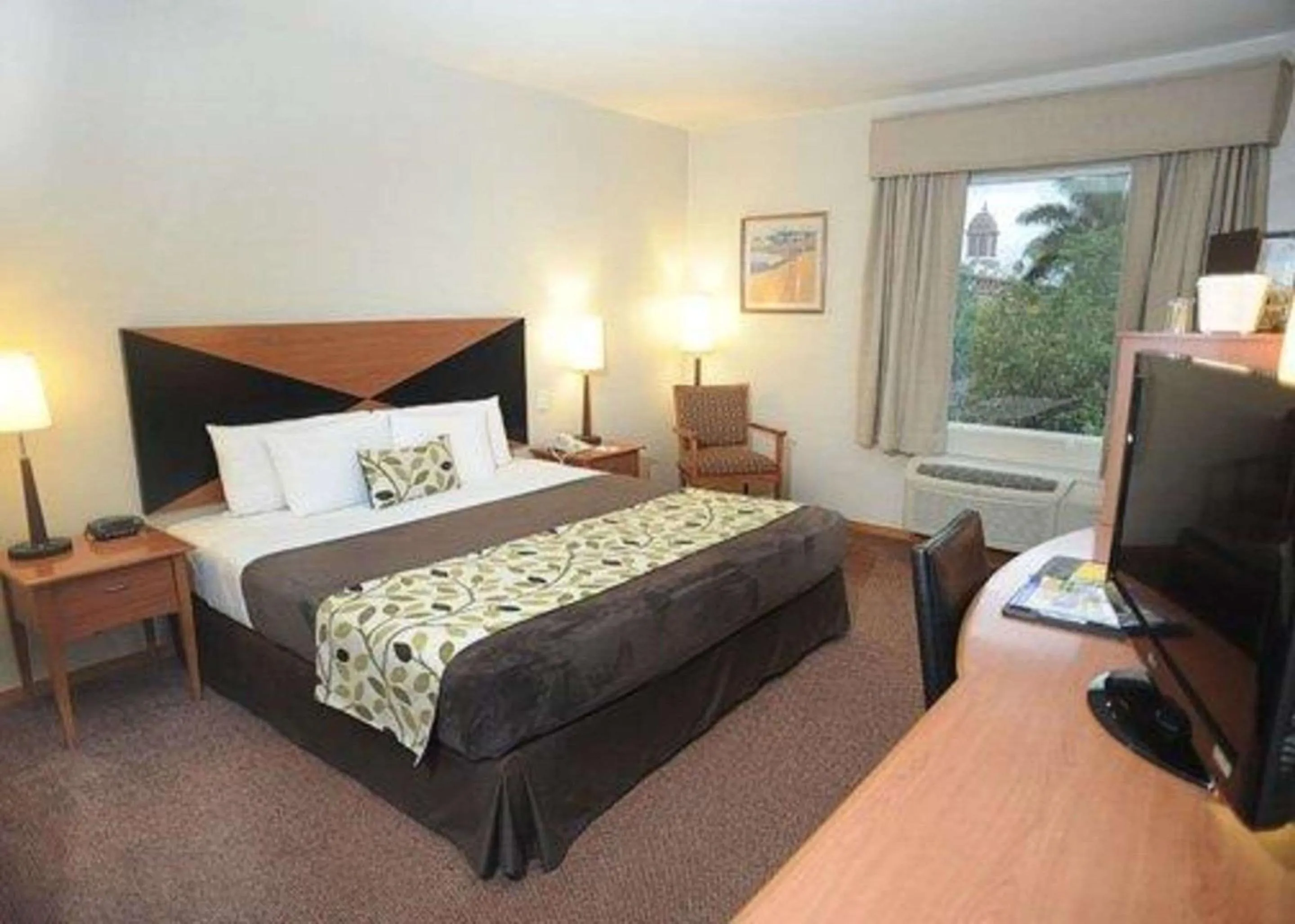 King Room - Disability Access in Sleep Inn Paseo Las Damas