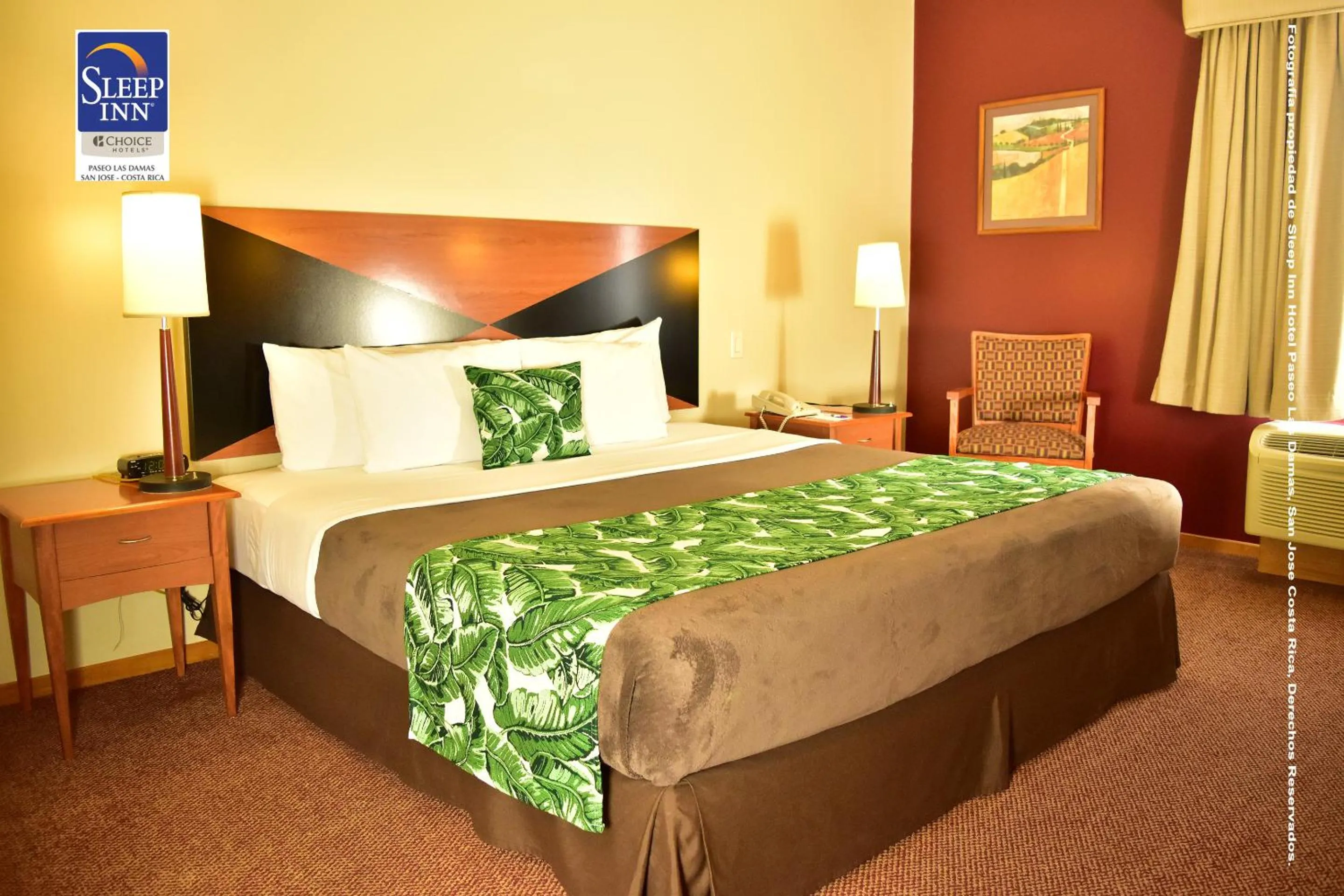 King Room - Non-Smoking in Sleep Inn Paseo Las Damas