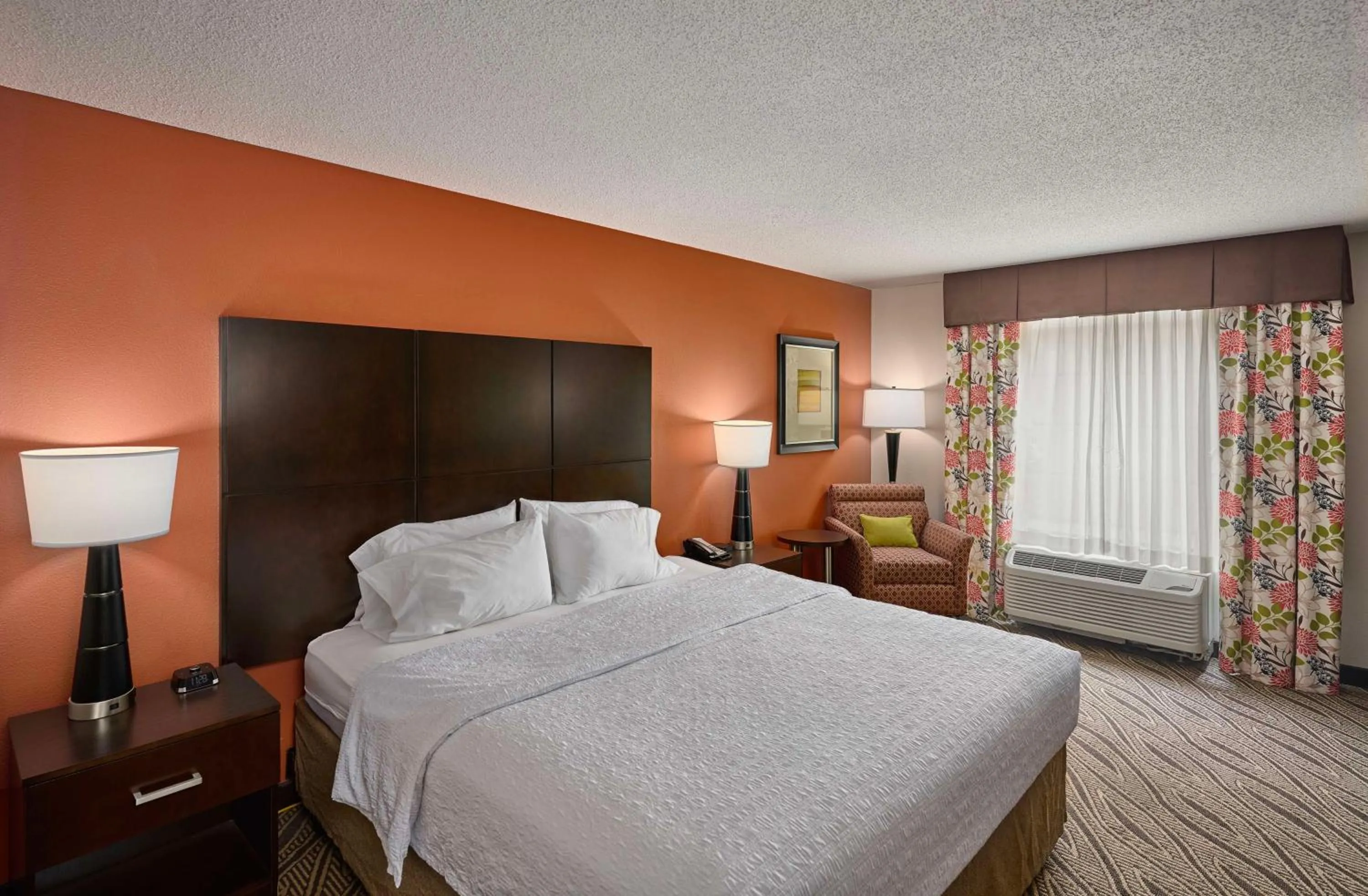 One-Bedroom King Suite - Non-Smoking in Hampton Inn Evansville Airport