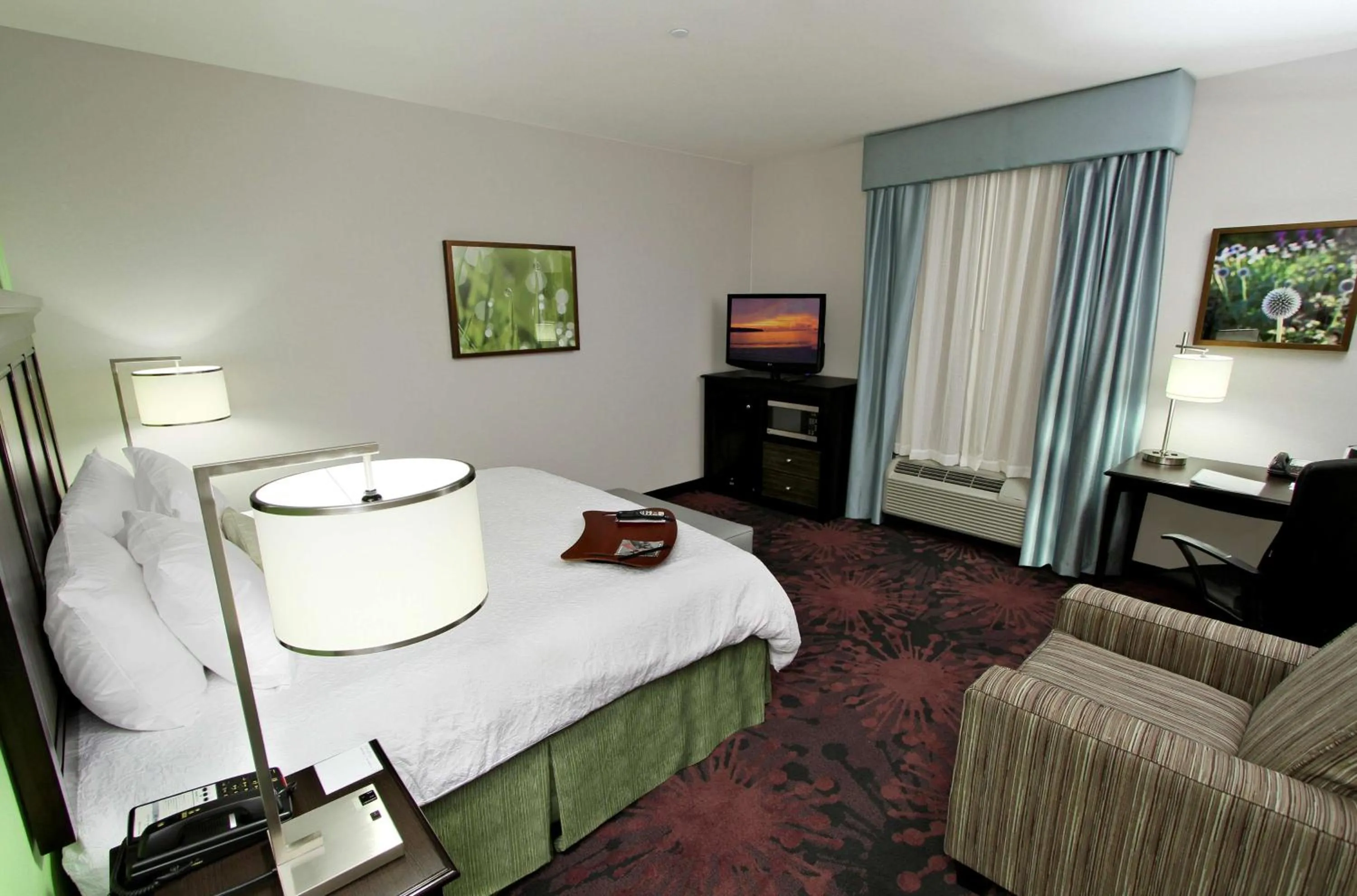King Room with Accessible Tub - Mobility and Hearing Access/Non-Smoking in Hampton Inn & Suites Winnie