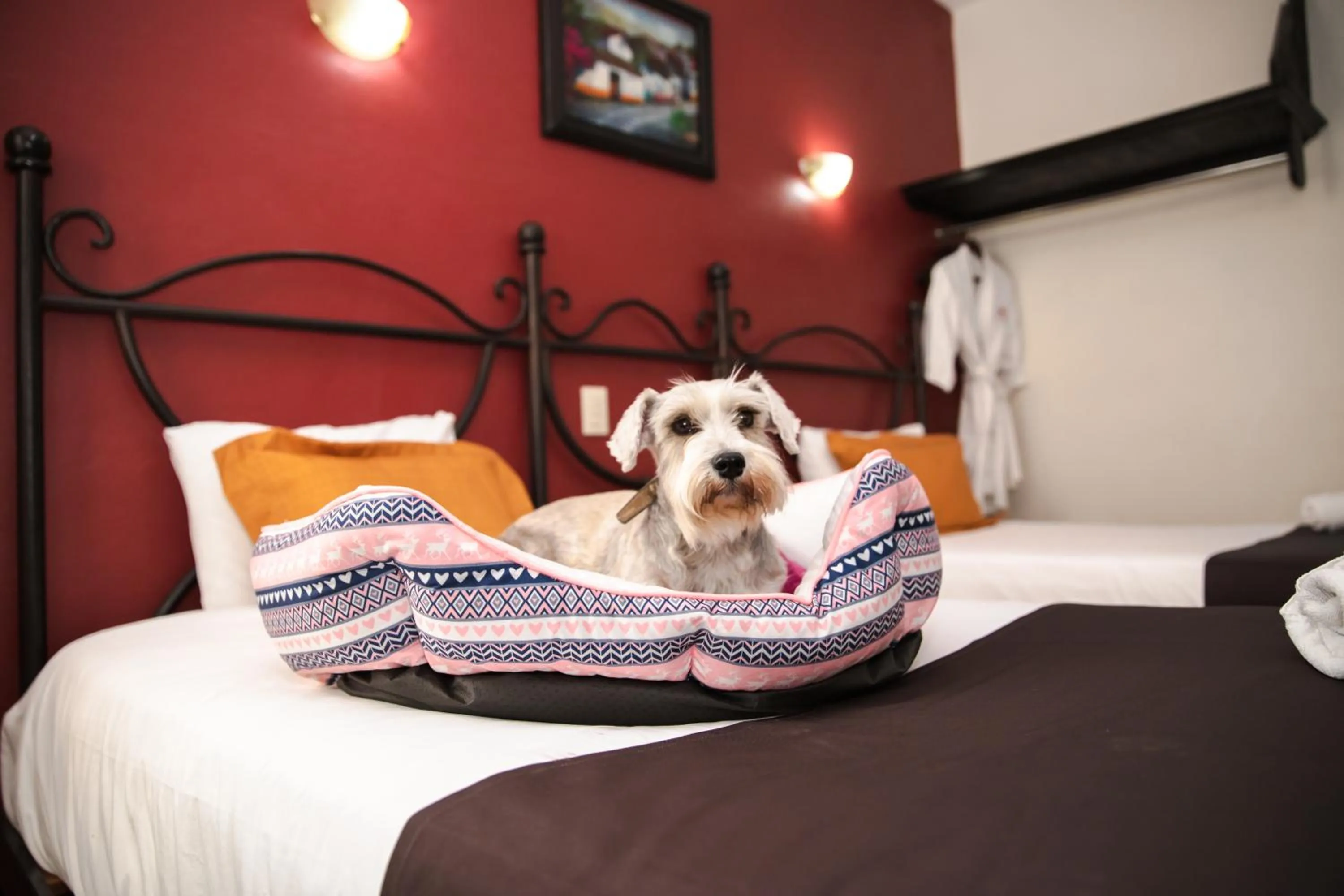 Budget Double Room in Plaza Poblana