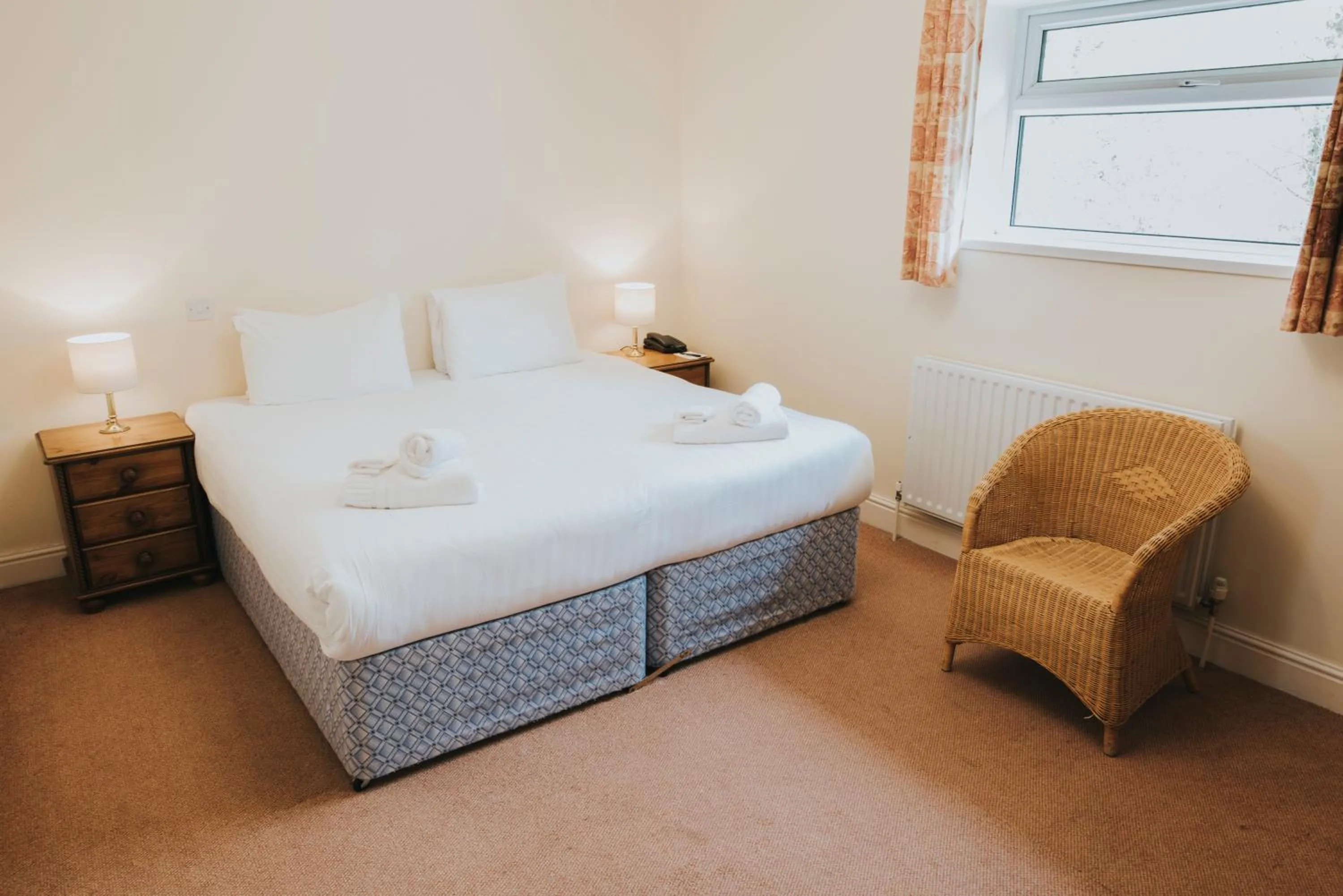 Economy Double Room in Cwrt Bleddyn Hotel & Spa
