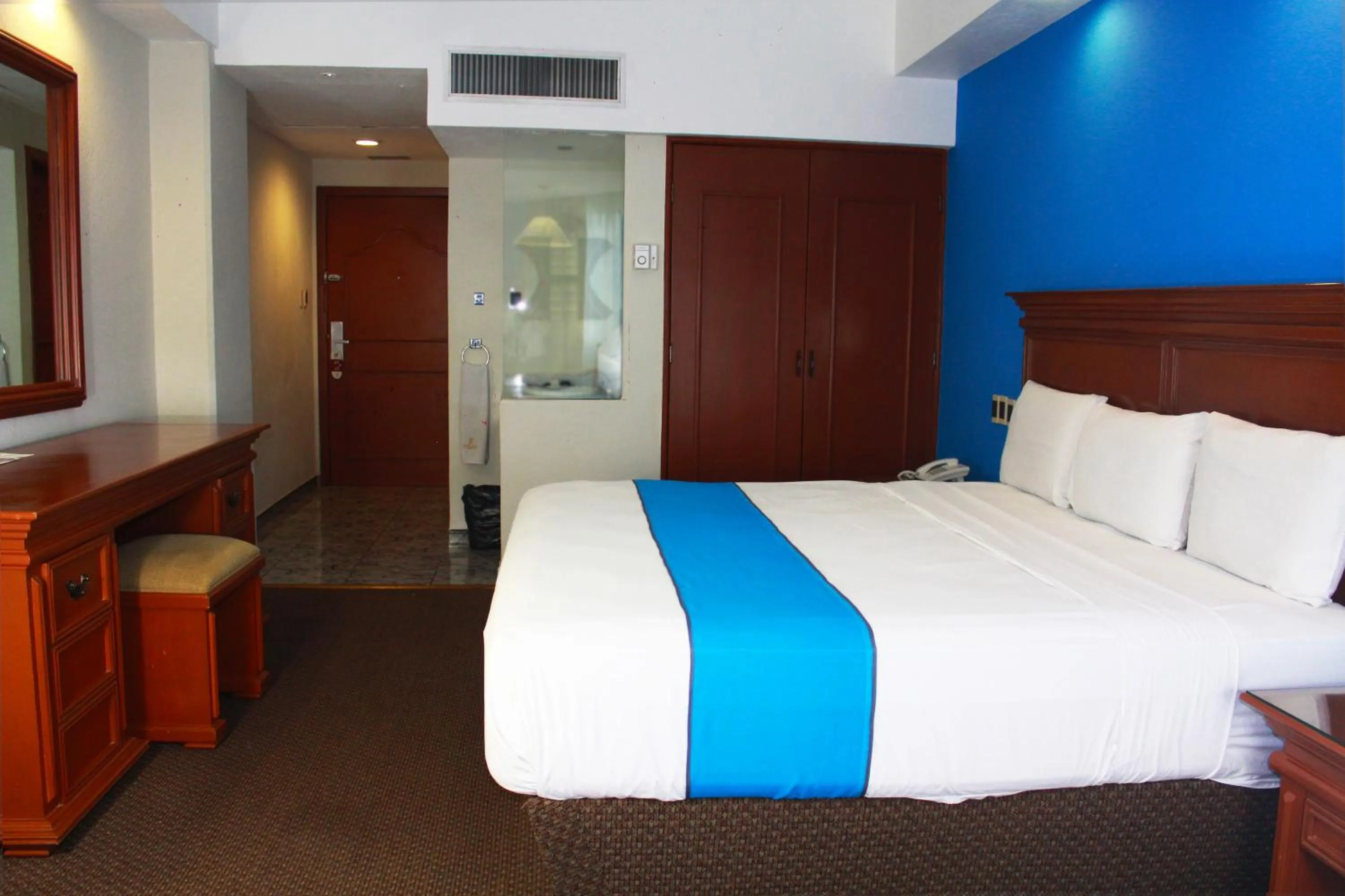 King Room - single occupancy in Hotel Lois Veracruz