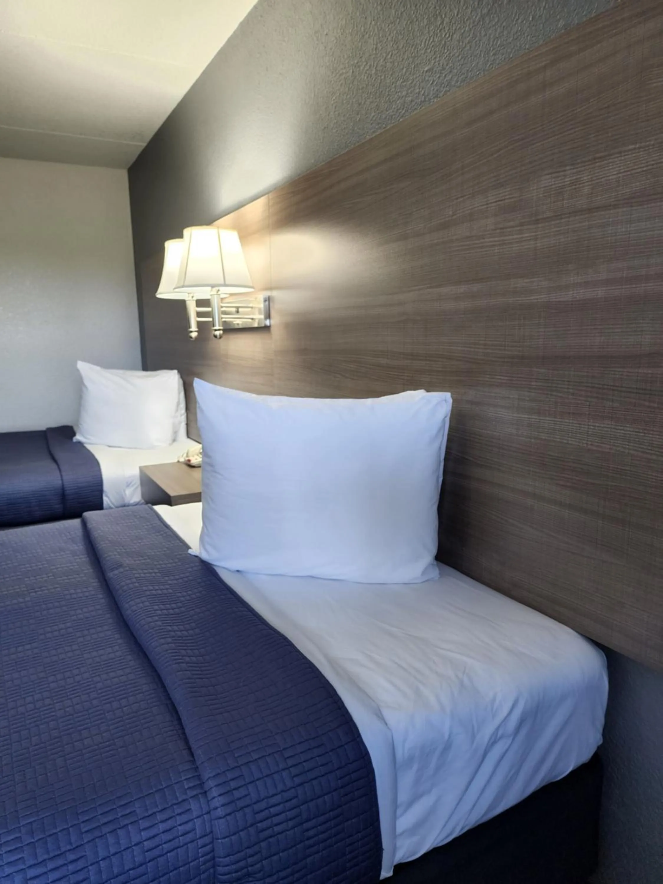 Standard Double Room - single occupancy in Drakes Creek Inn - formerly The Relax Inn