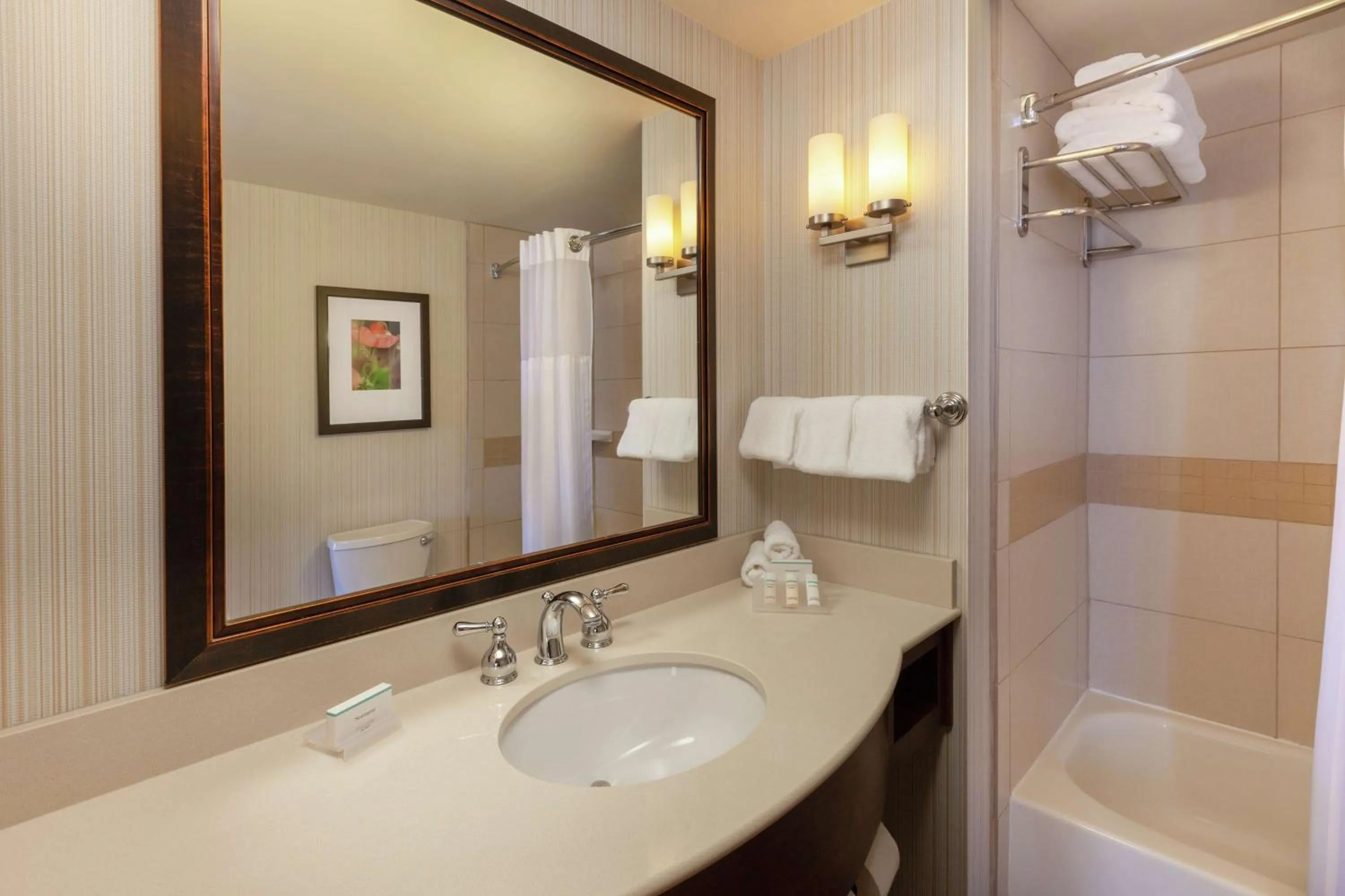Queen Room with Mobility/Hearing Accessible Tub in Hilton Garden Inn Pittsburgh University Place