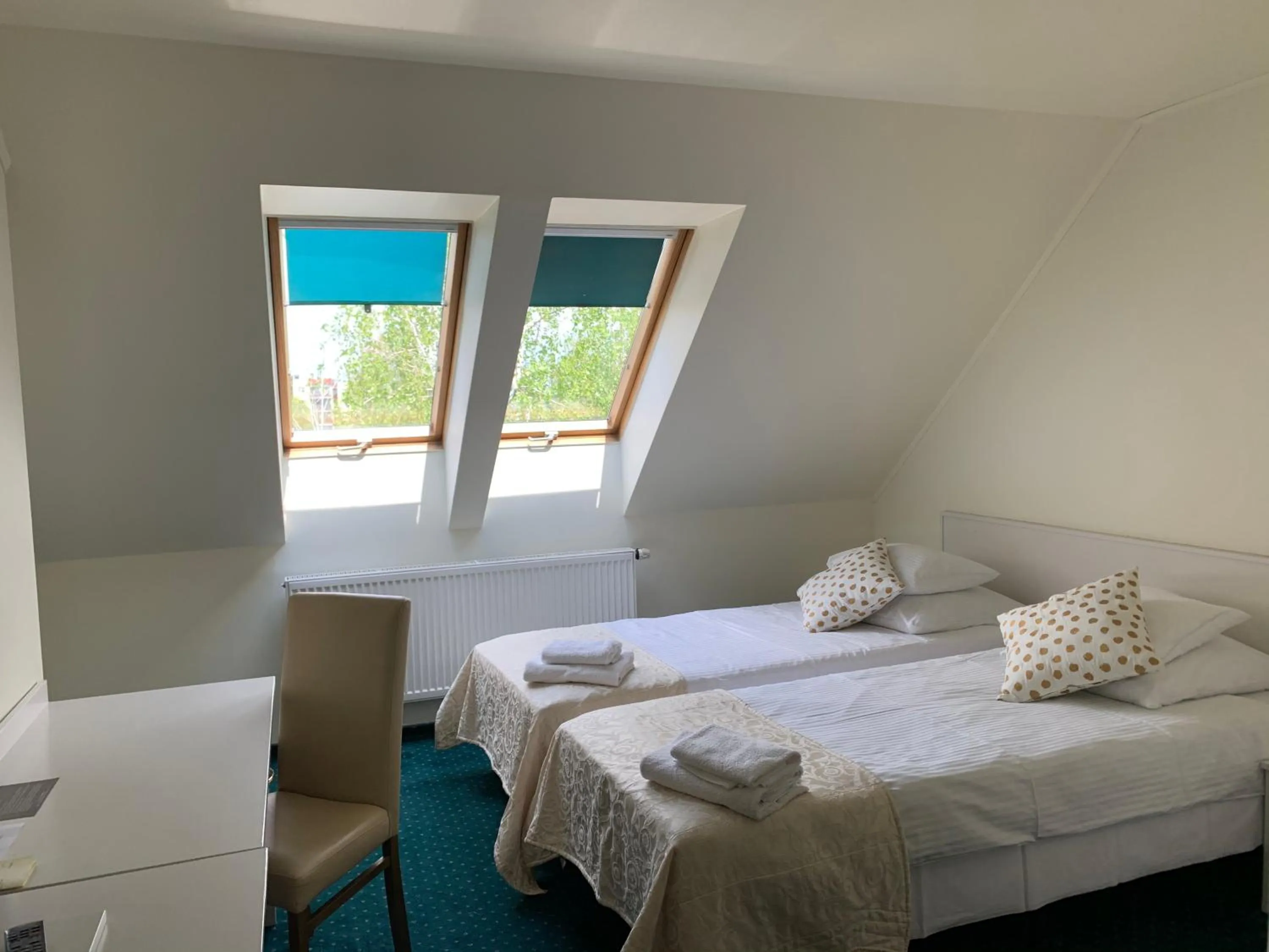 Standard Double - single occupancy in Hotel Court Wellness&Spa