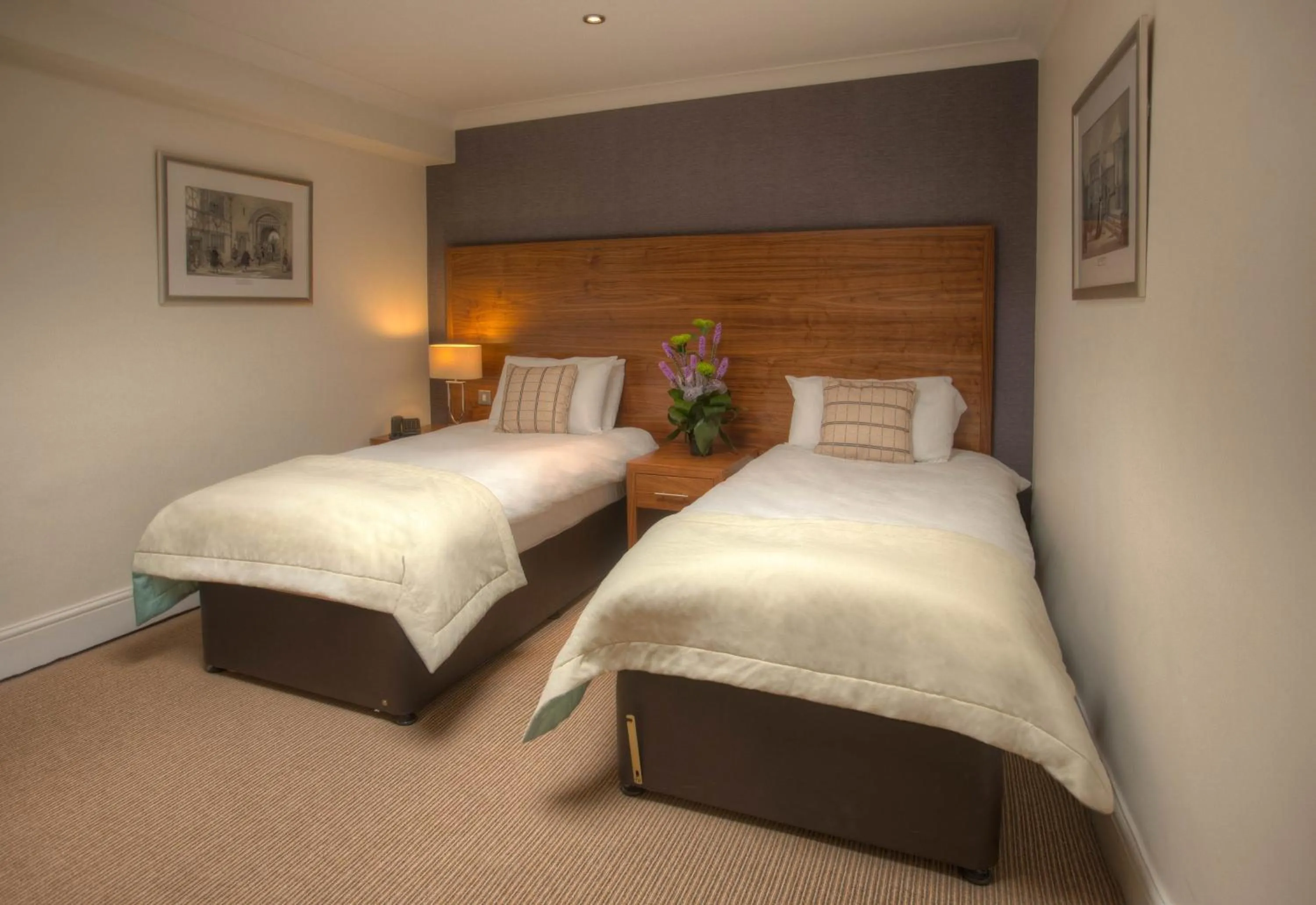 Executive Twin Room - single occupancy in The Boleyn Hotel