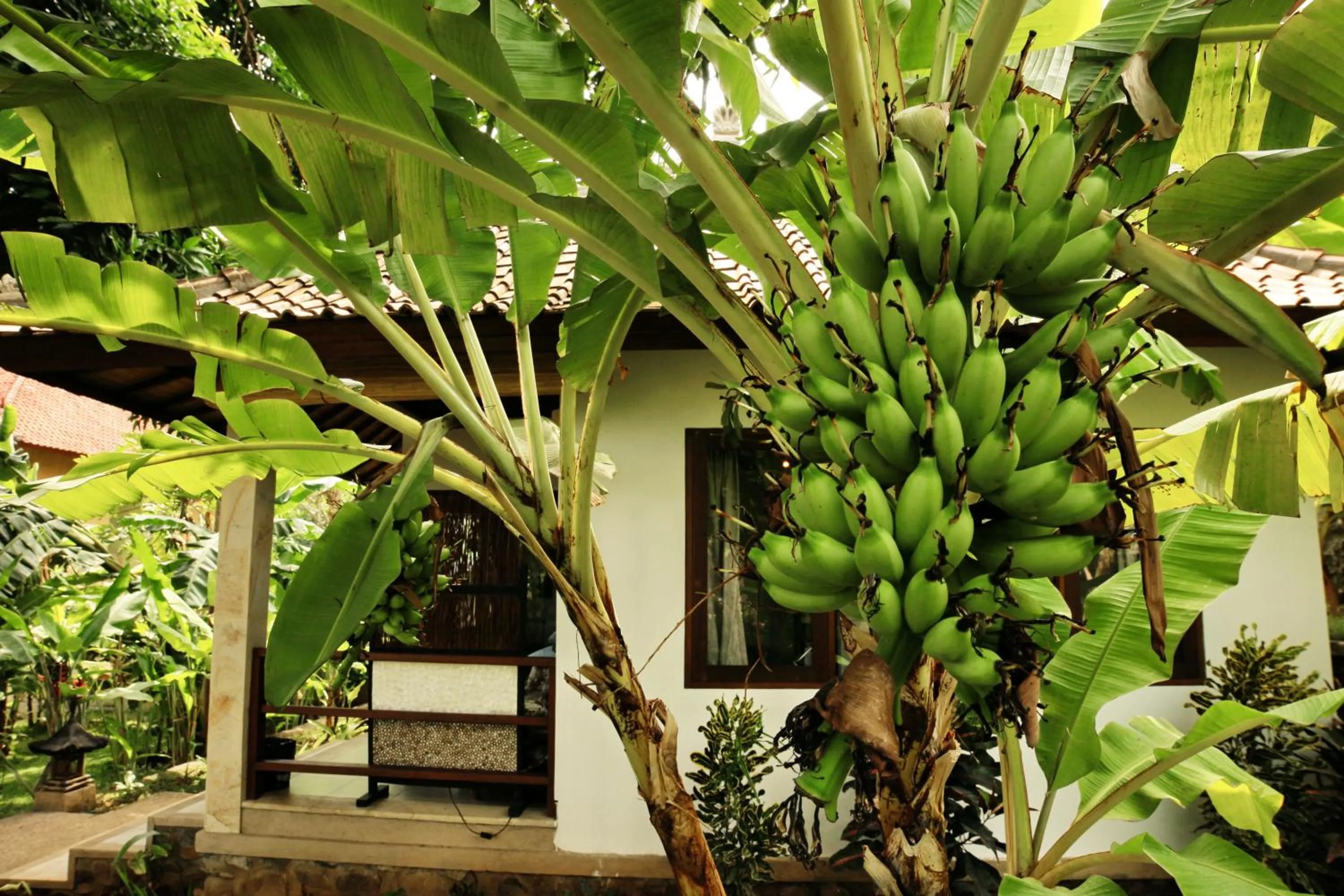 One-Bedroom Villa with Garden View in Bali Dream House
