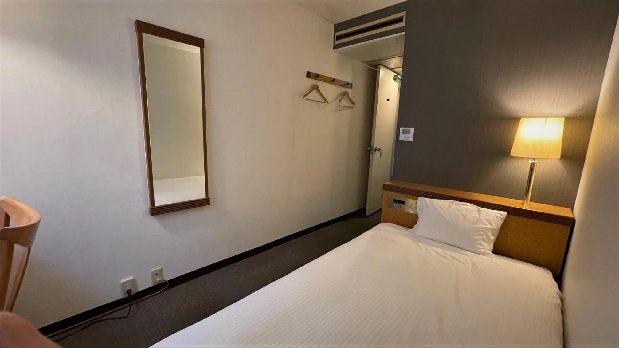 Single Room in Ueno Terminal Hotel