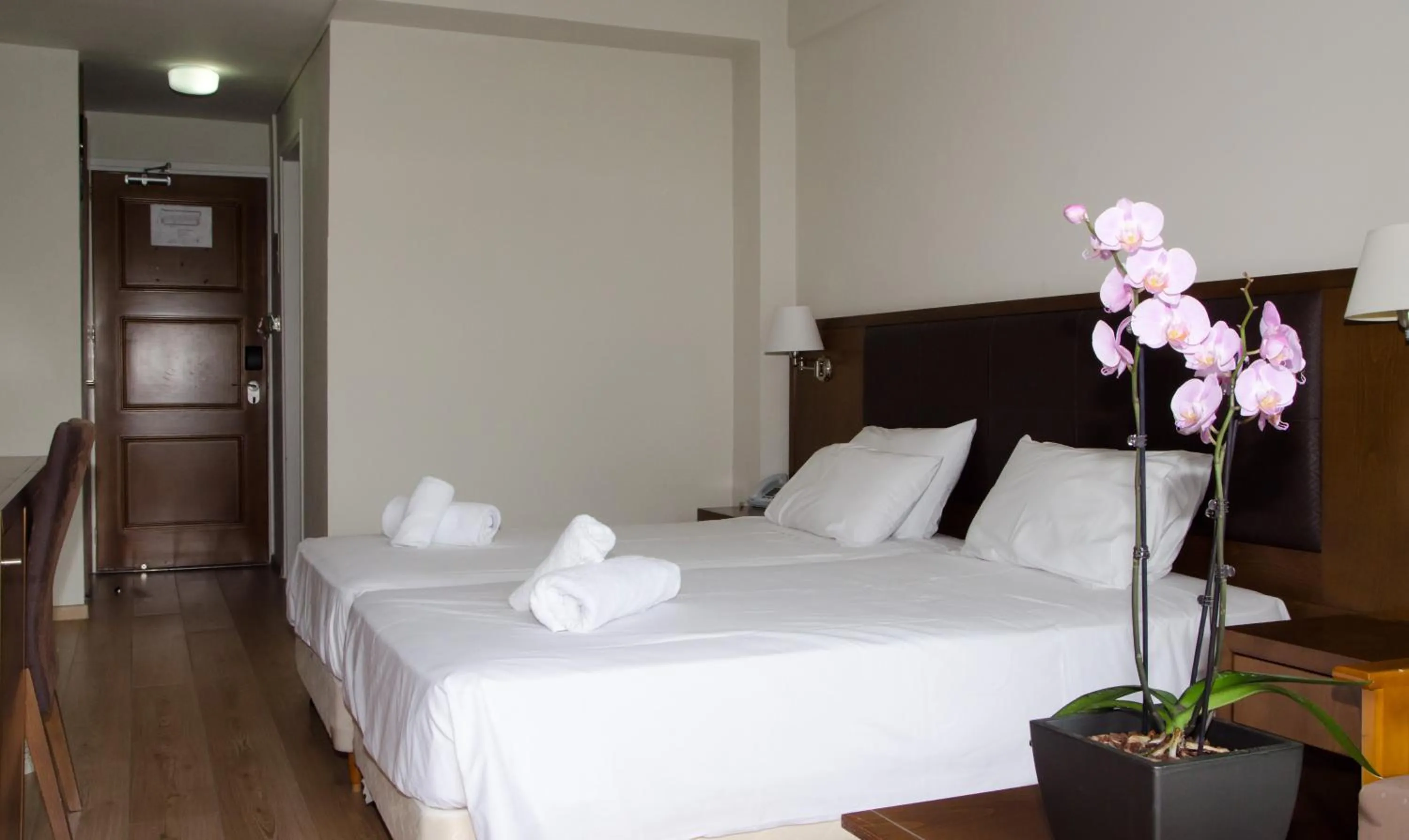 Standard Double or Twin Room in Rodon Hotel and Resort