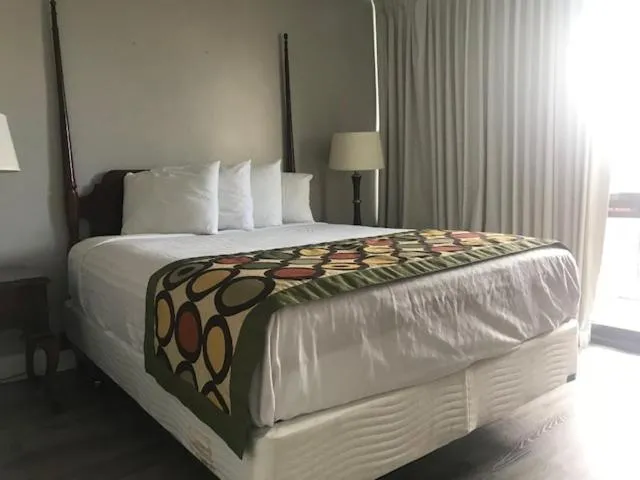 One-Bedroom Suite in Alamar Resort Inn