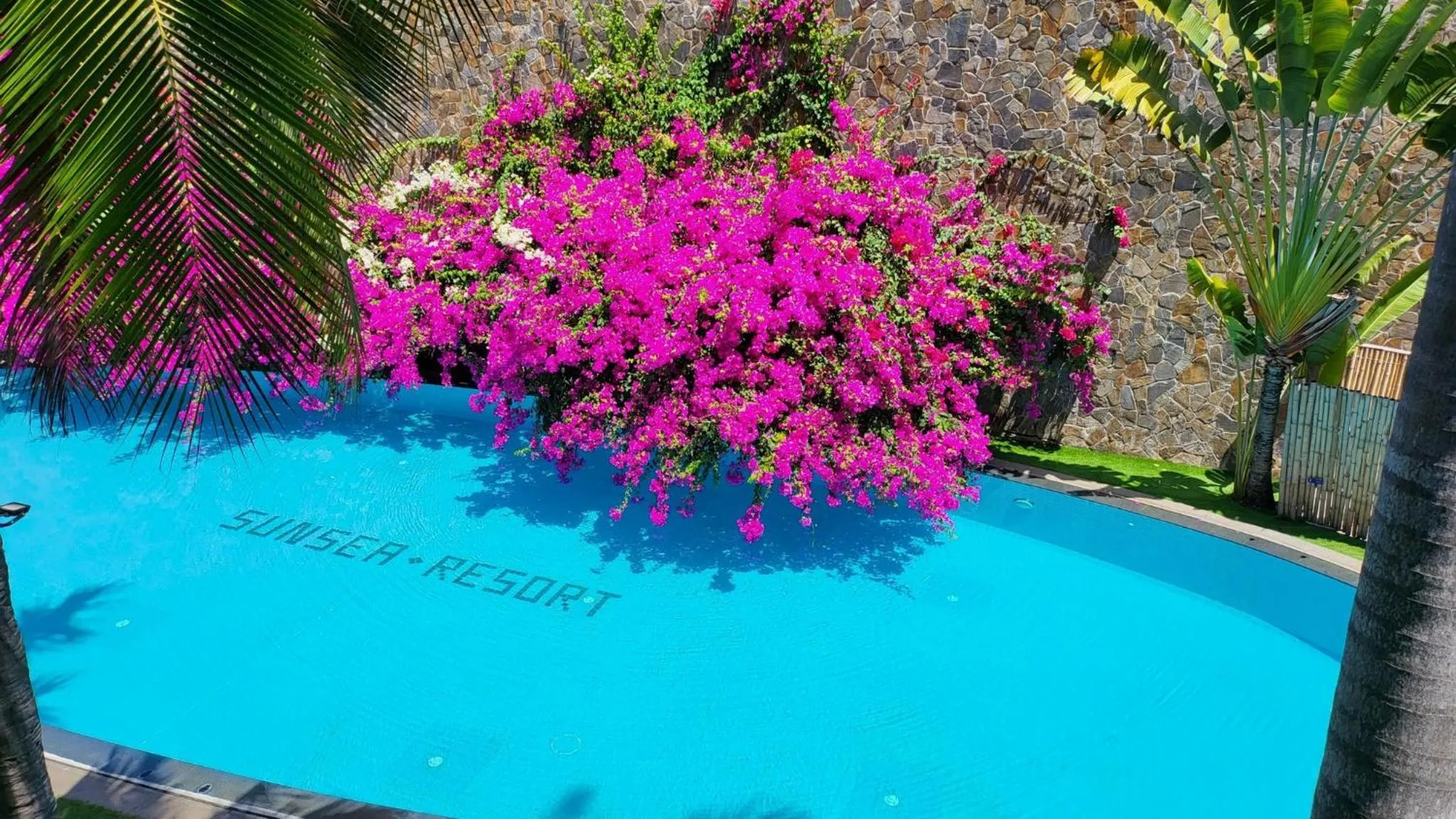 Suite with Pool View in Sunsea Resort