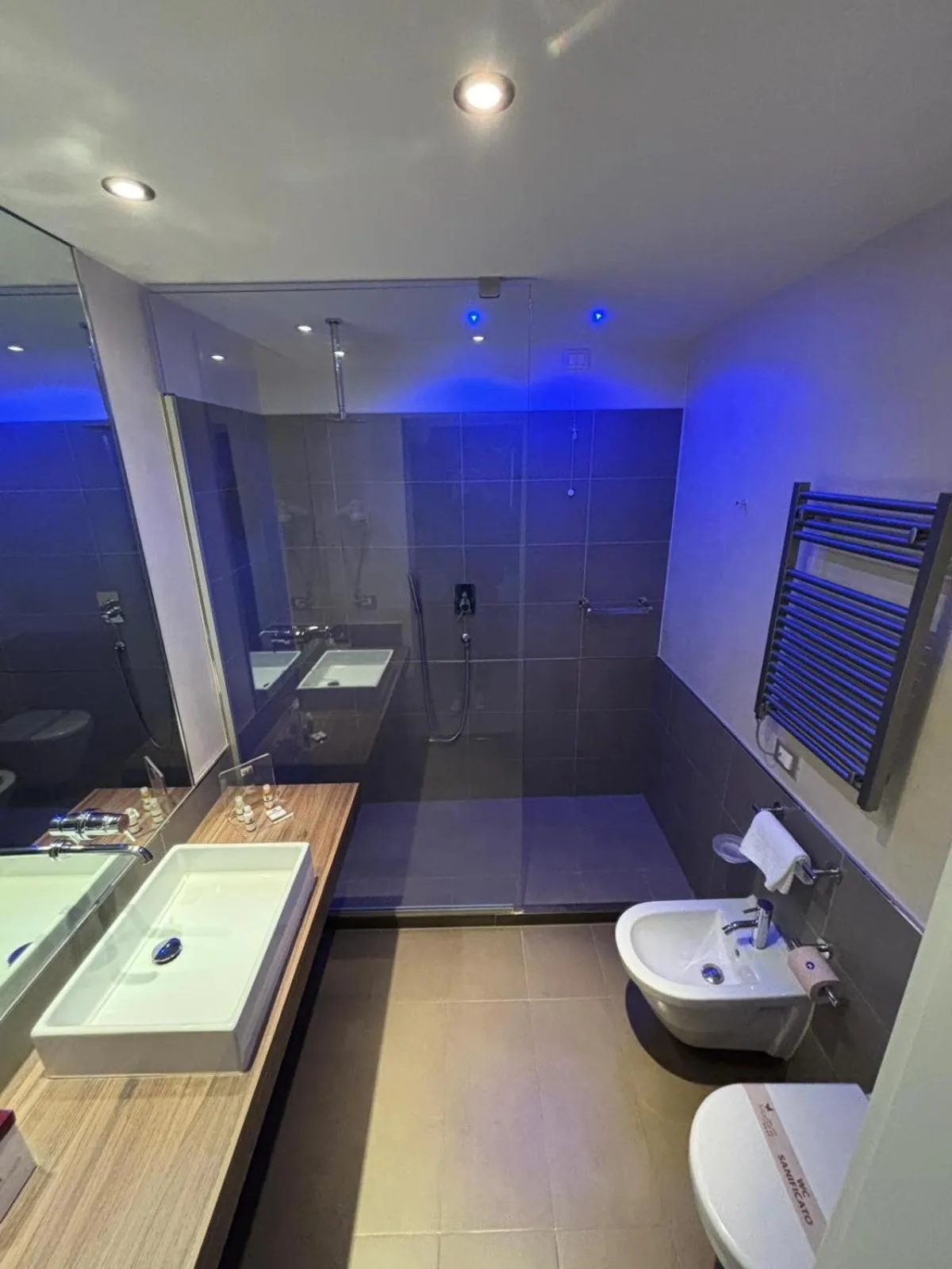 Classic Double Room - single occupancy in Hotel Morgana