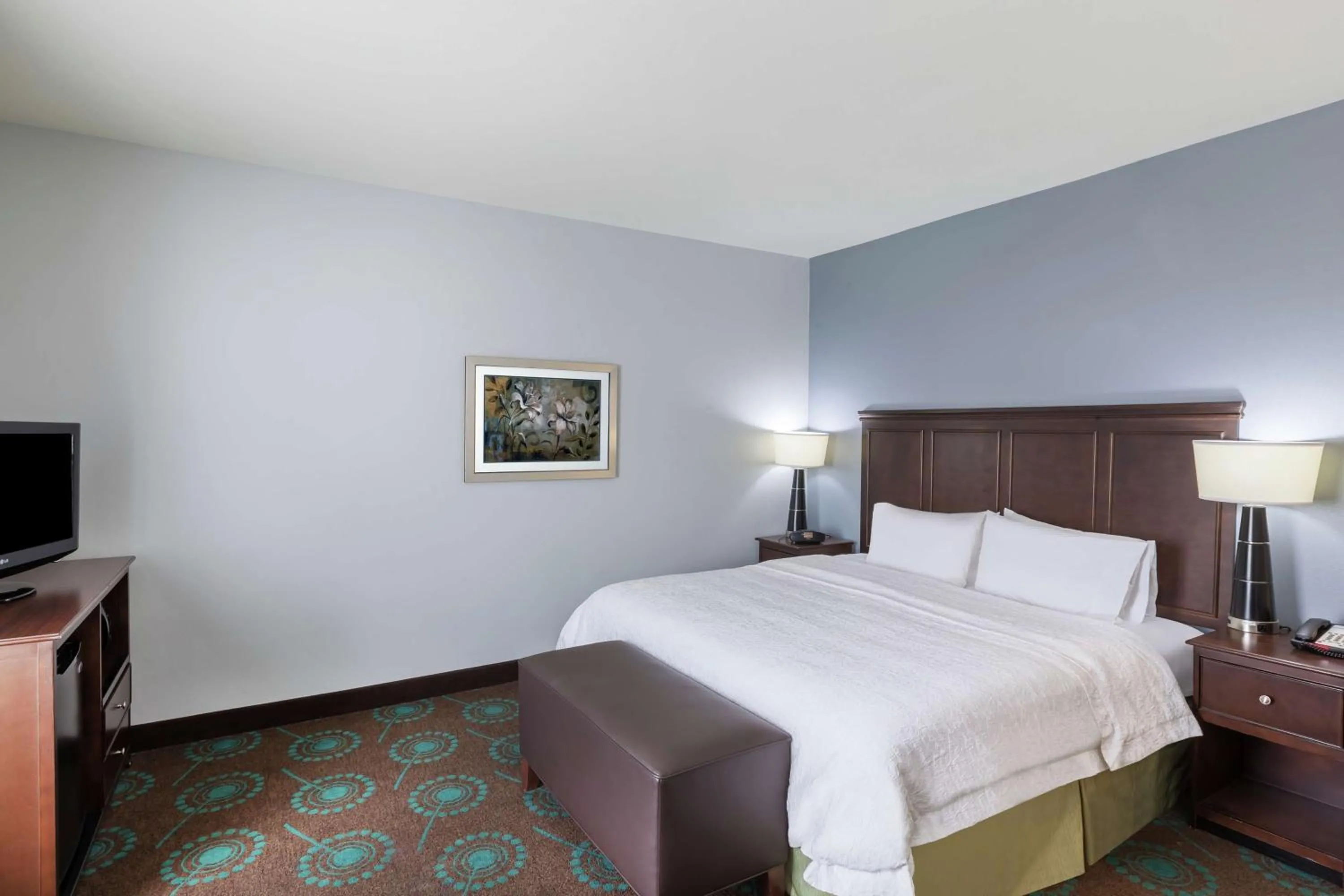 King Room - Hearing Access/Non-Smoking in Hampton Inn & Suites Shreveport/Bossier City at Airline Drive