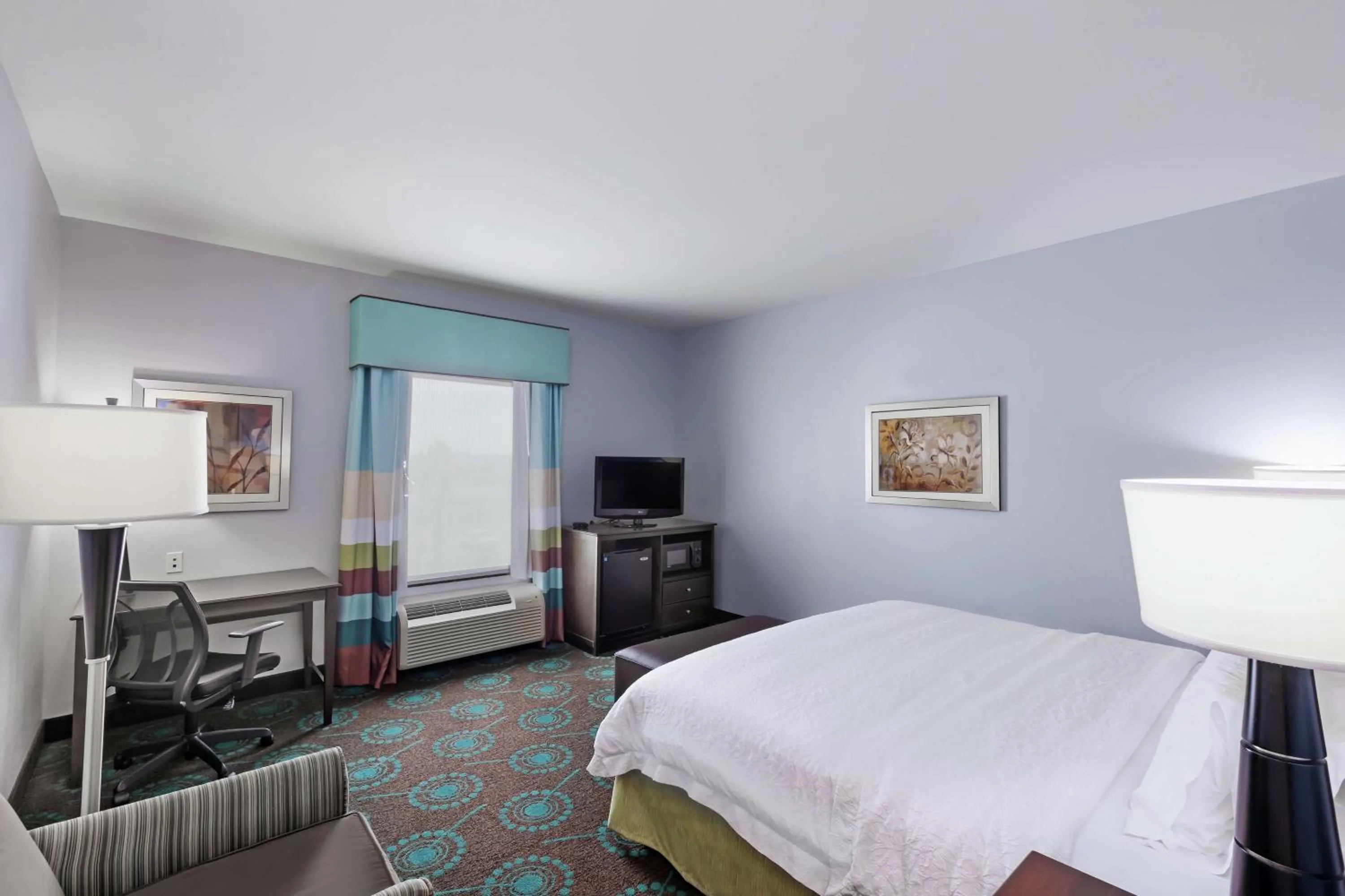 King Room with Shower - Non-Smoking in Hampton Inn & Suites Shreveport/Bossier City at Airline Drive