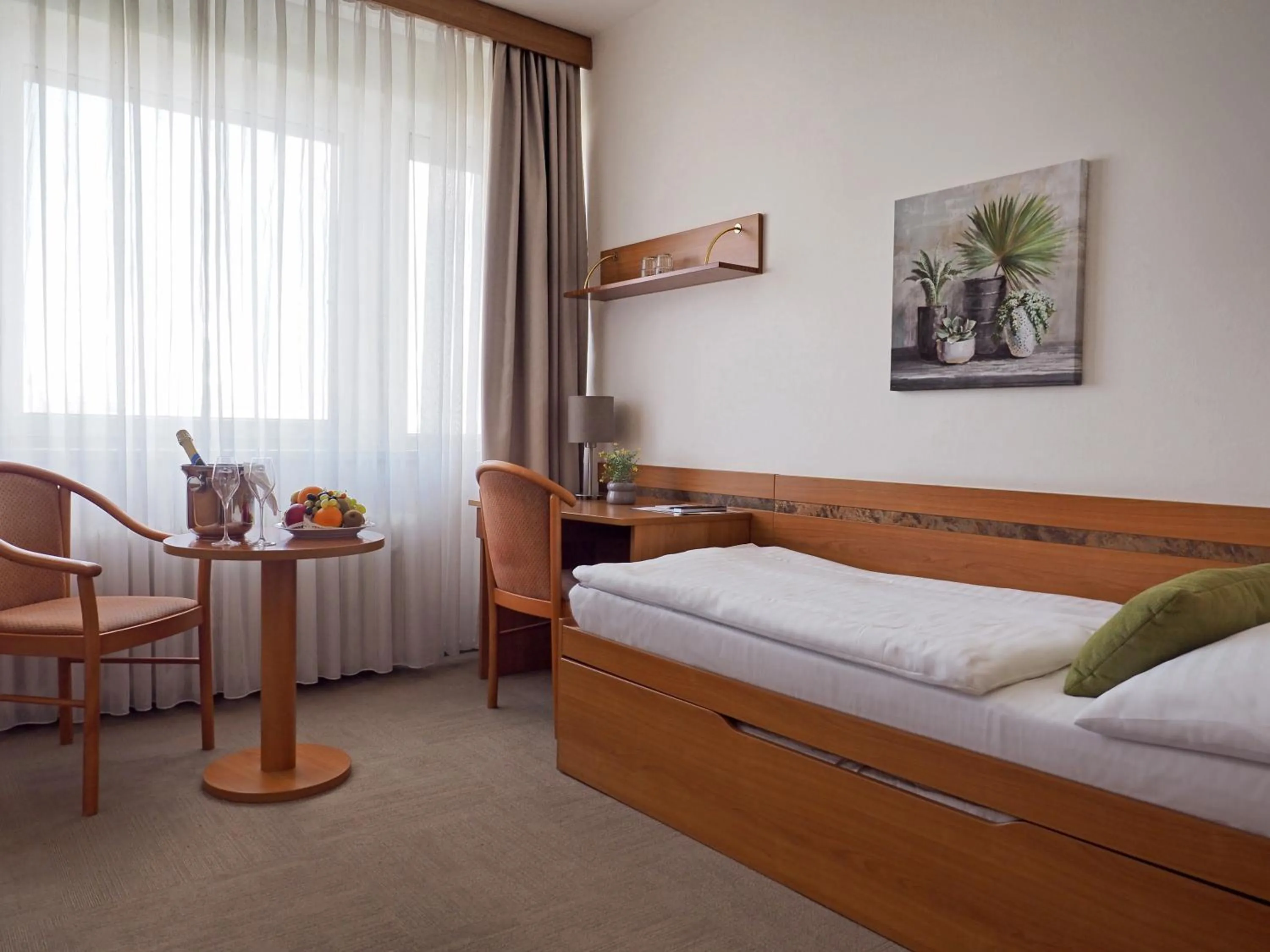 Single Room in Hotel ILF