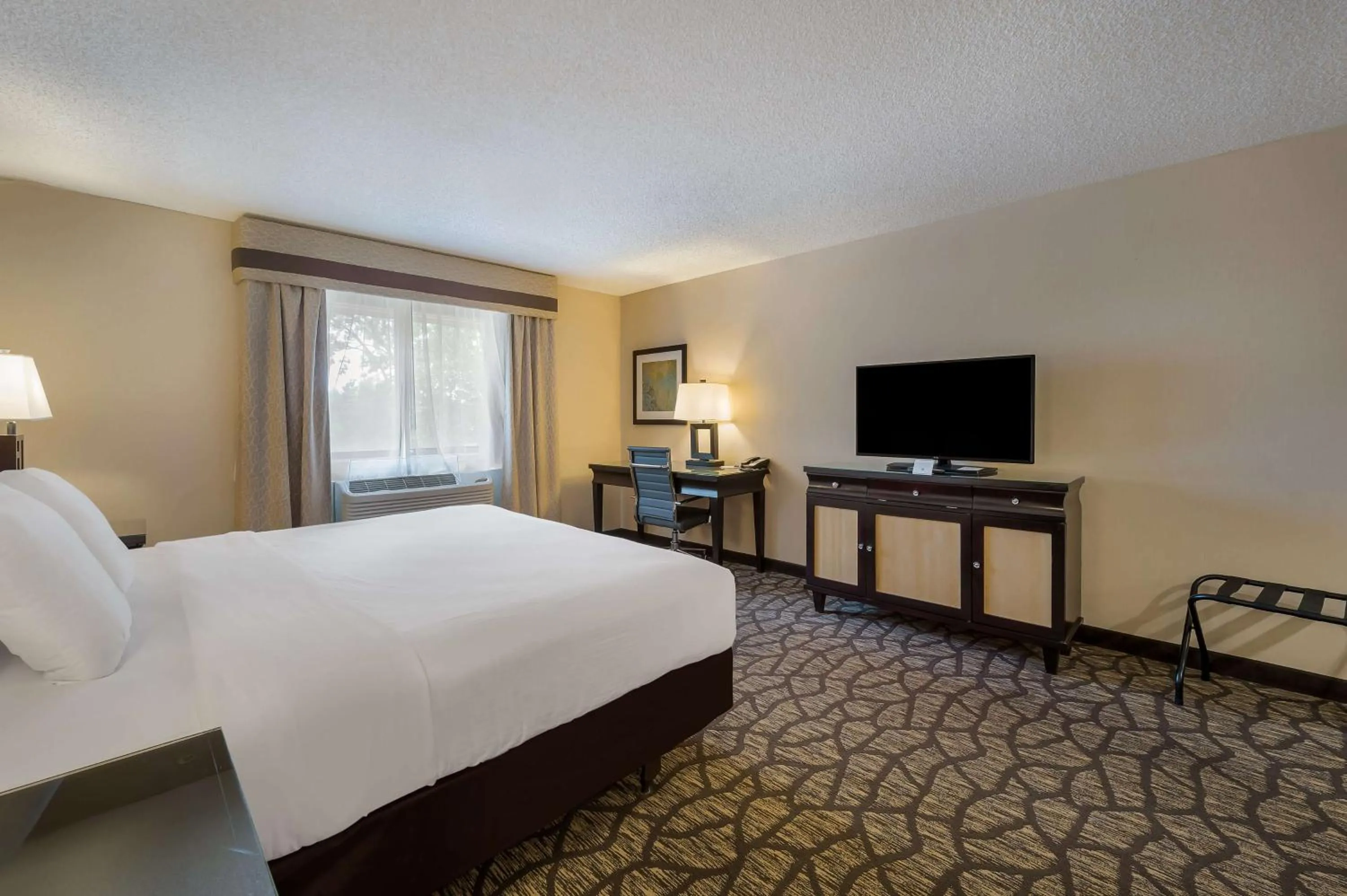 King Room with Roll-In Shower - Mobility Accessible in Best Western Detroit Livonia
