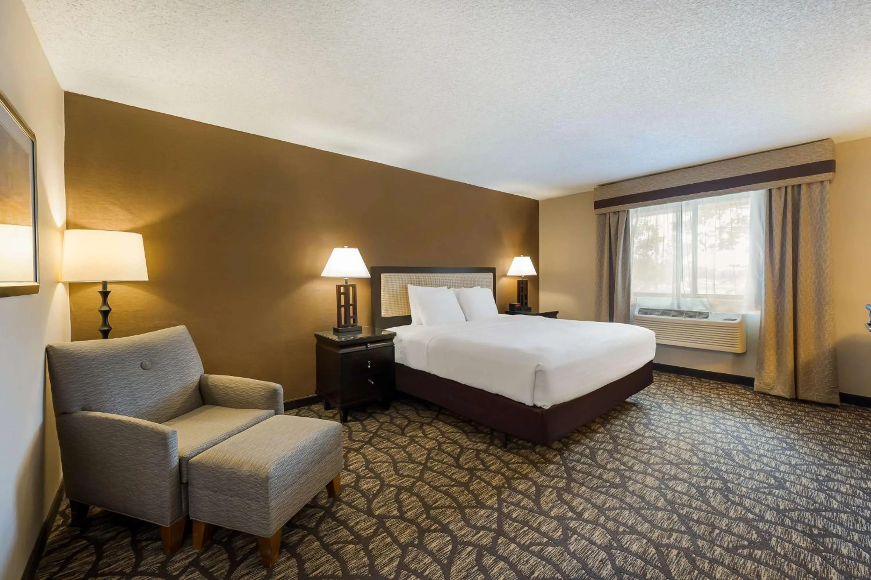 King Room - Non-Smoking in Best Western Detroit Livonia