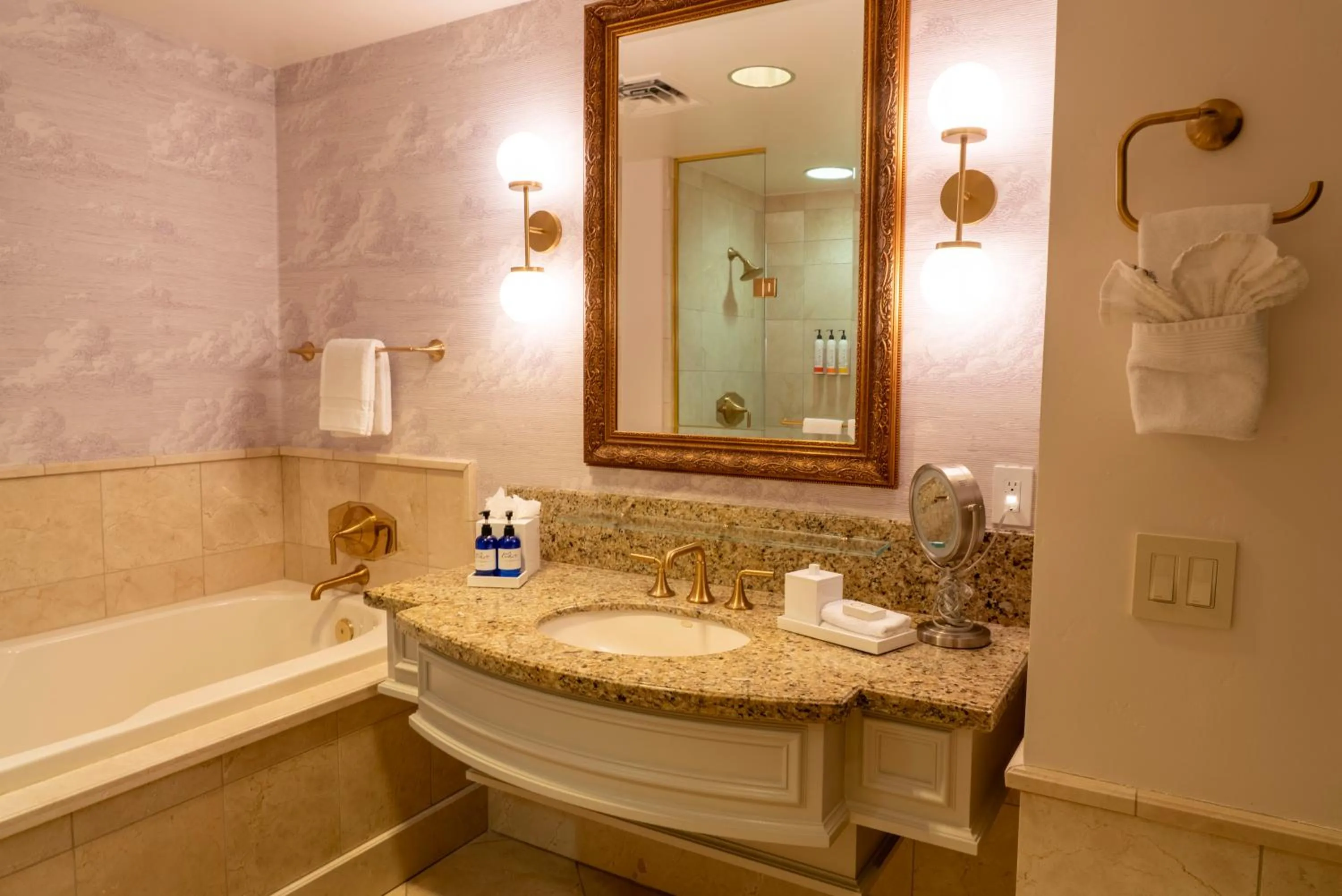 Double Room with Patio in Carlton Hotel