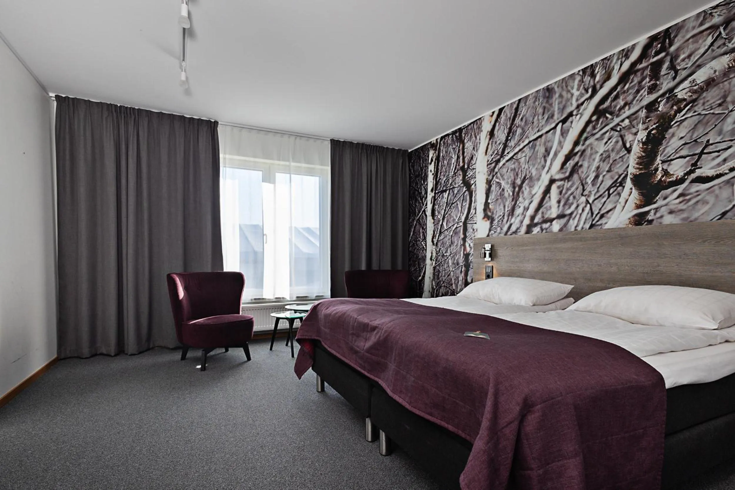 Superior Twin Room in Comfort Hotel Umeå City