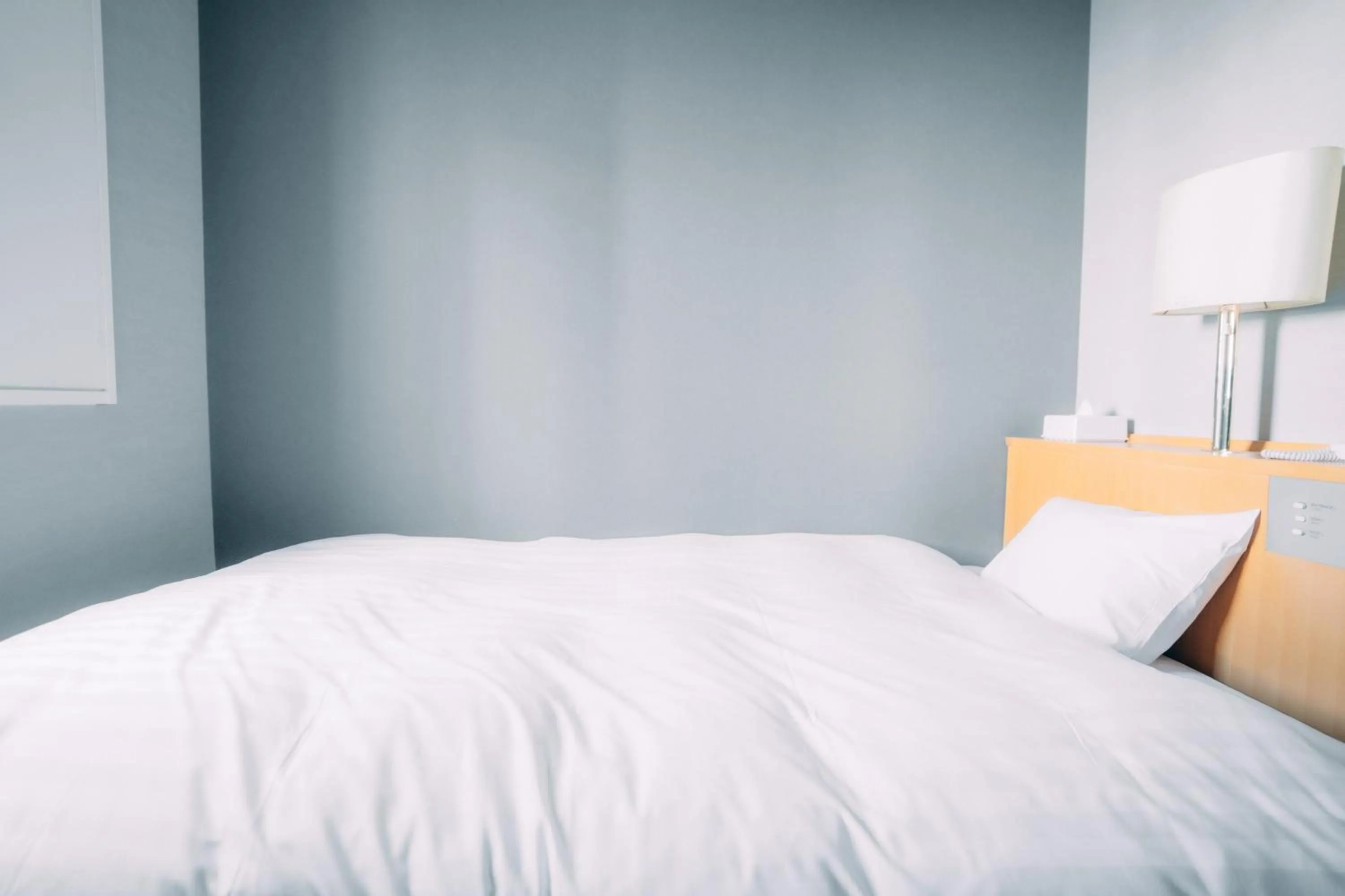 Single Room - Non-Smoking in 3s HOTEL ATSUGI