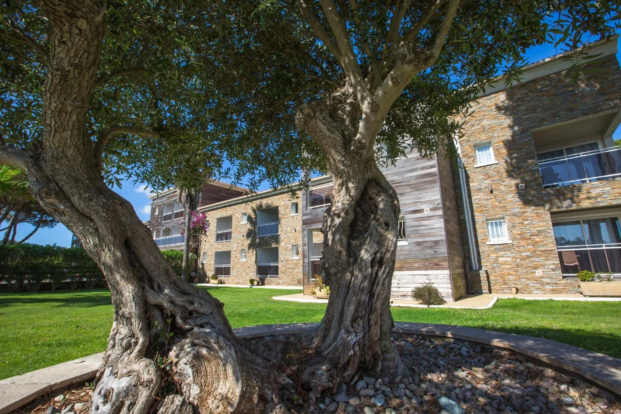 Superior Double or Twin Room with Garden View in Hôtel La Lagune