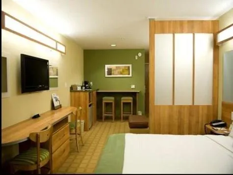 One-Bedroom Suite - Disability Access/Non-Smoking in Microtel Inn & Suites by Wyndham Saraland