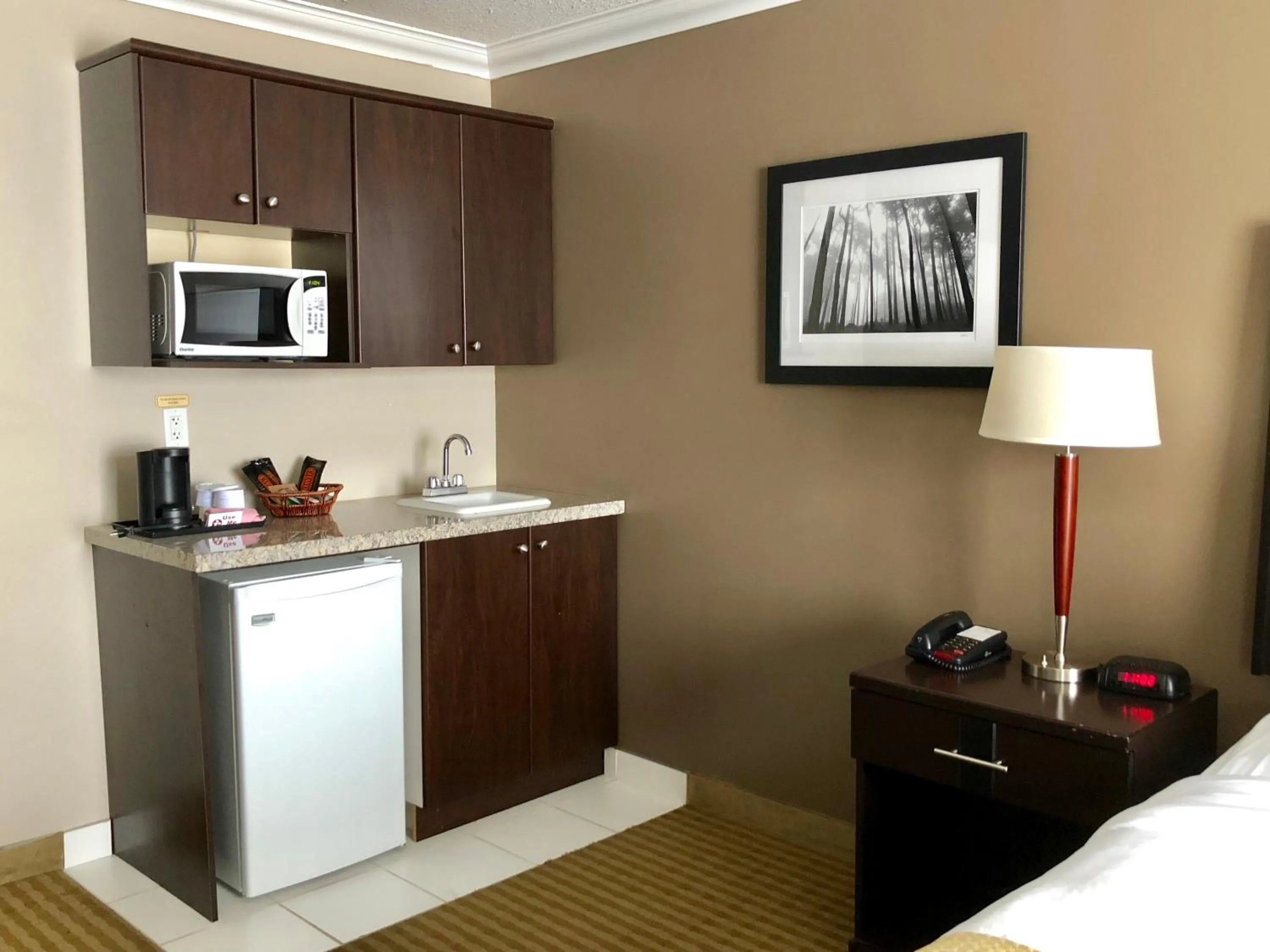 King Room - Disability Access - Non-Smoking in Ramada by Wyndham Cold Lake