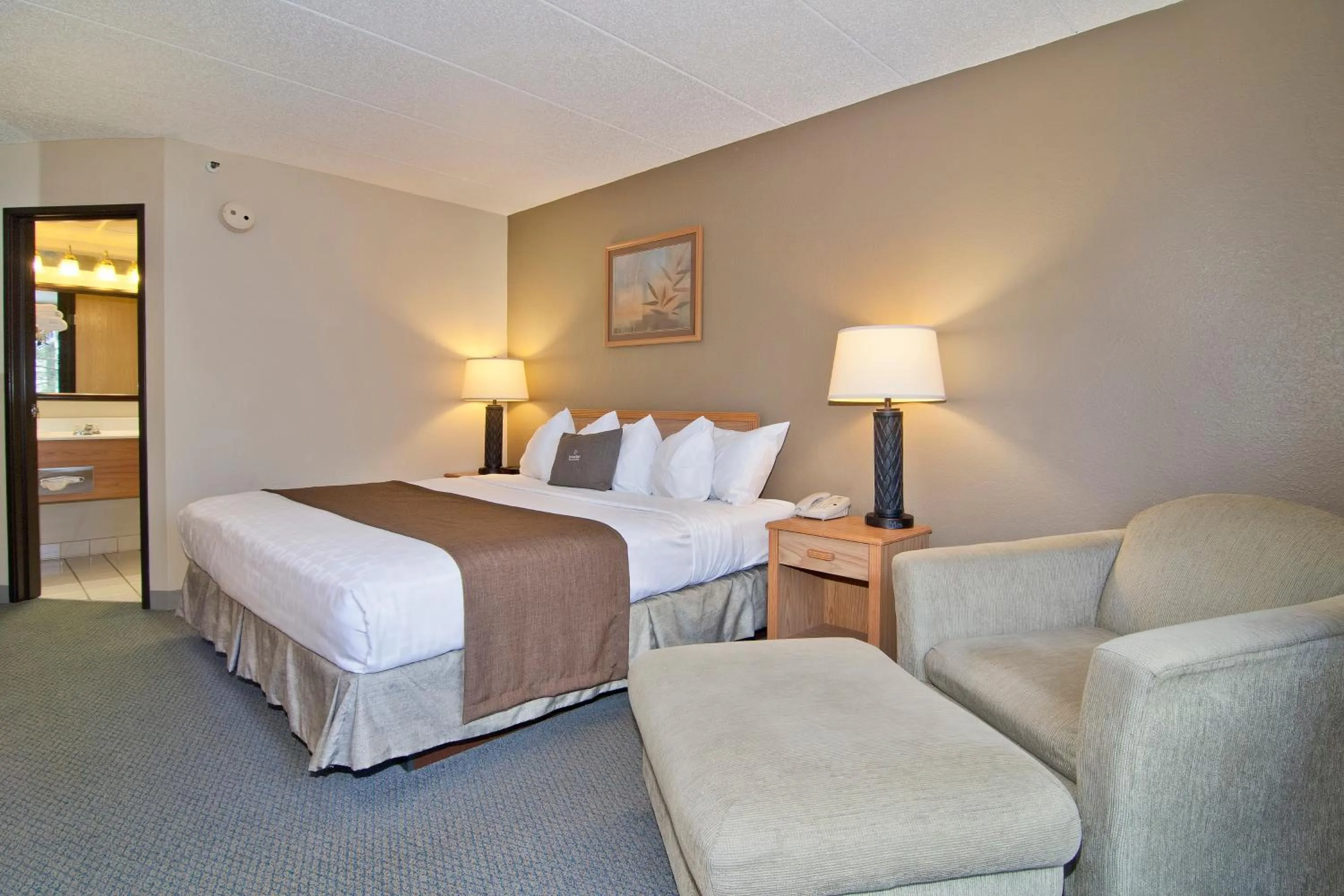 Single Room - Disability Access in Boarders Inn & Suites by Cobblestone Hotels - Faribault