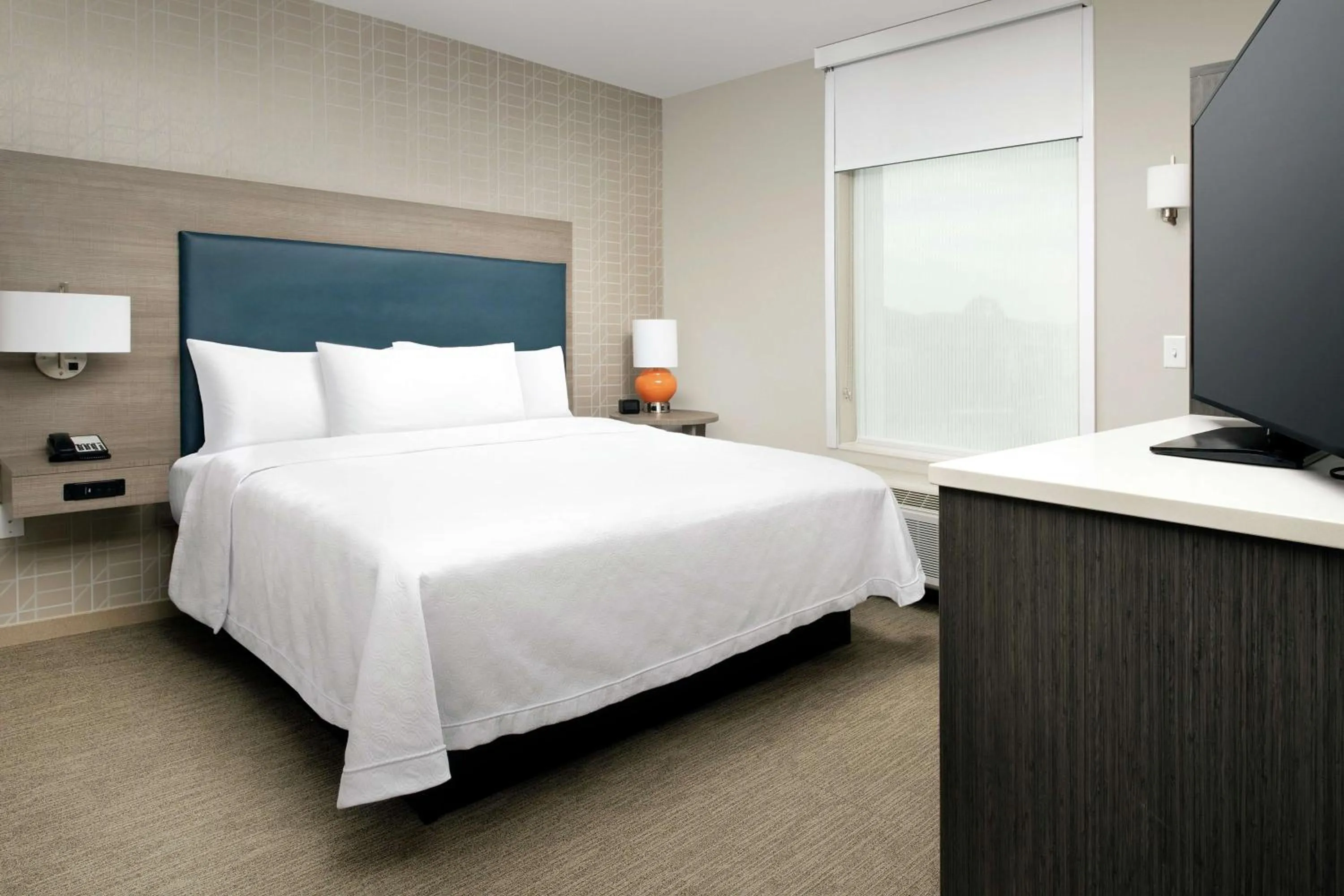 One-Bedroom King Suite - Non-Smoking in Home2 Suites By Hilton Charlottesville Downtown