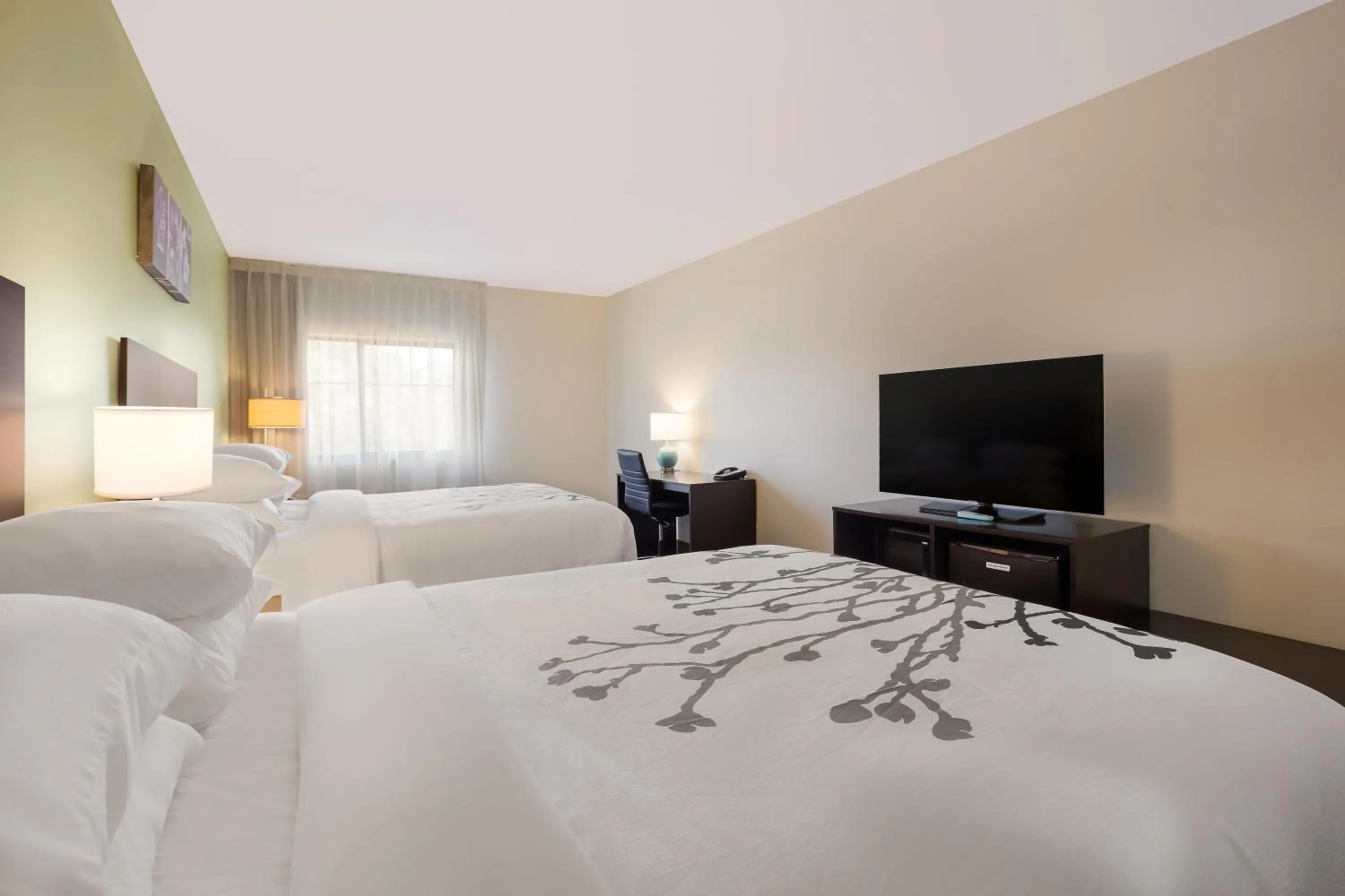 Queen Room with Two Queen Beds - Accessible/Non Smoking in Sleep Inn & Suites North Mobile Saraland